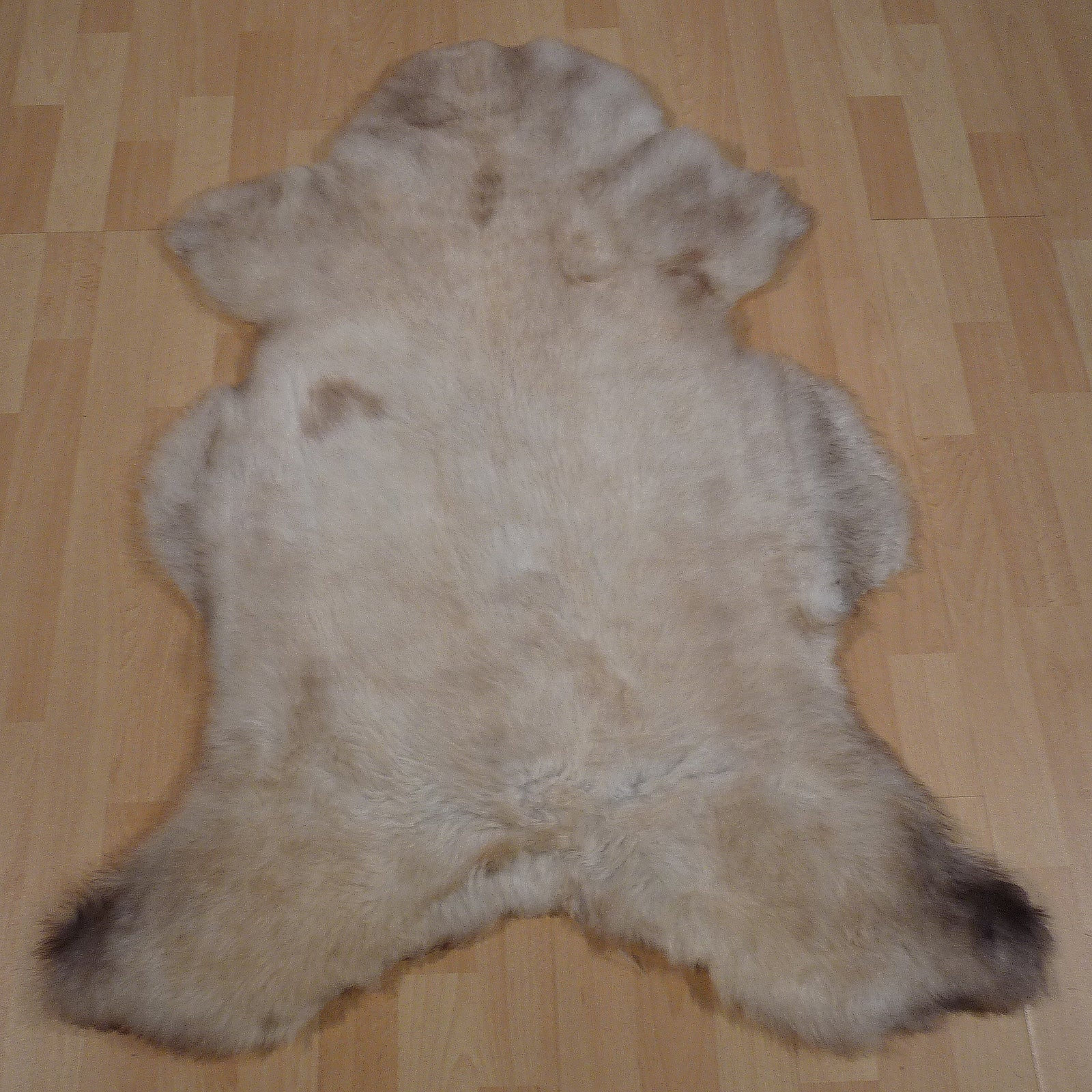 Exklusives Unikat Lammfell weiß - grau - braun 110x85cm #14814