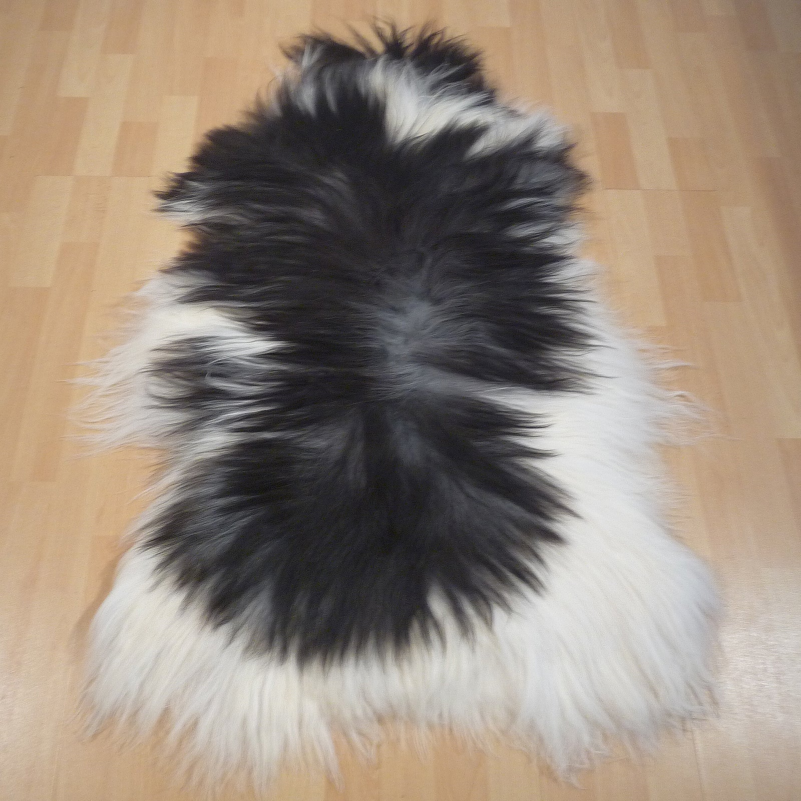 Exklusives Unikat Islandschaffell schwarz - weiß 130x85cm #14891