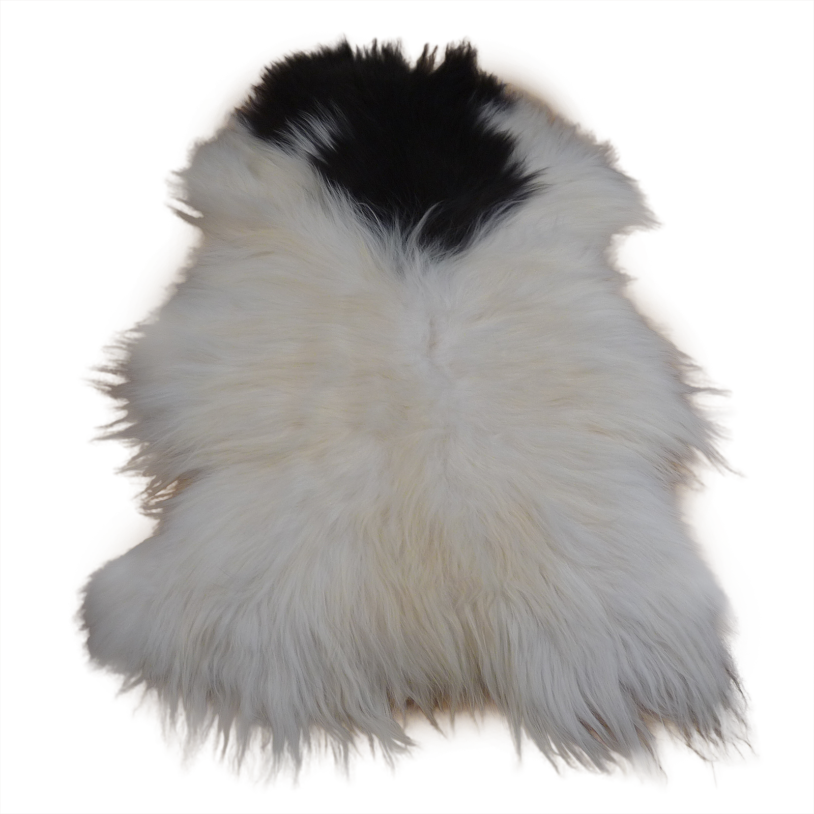 Exklusives Unikat Islandschaffell schwarz - weiß 140x95cm #14898