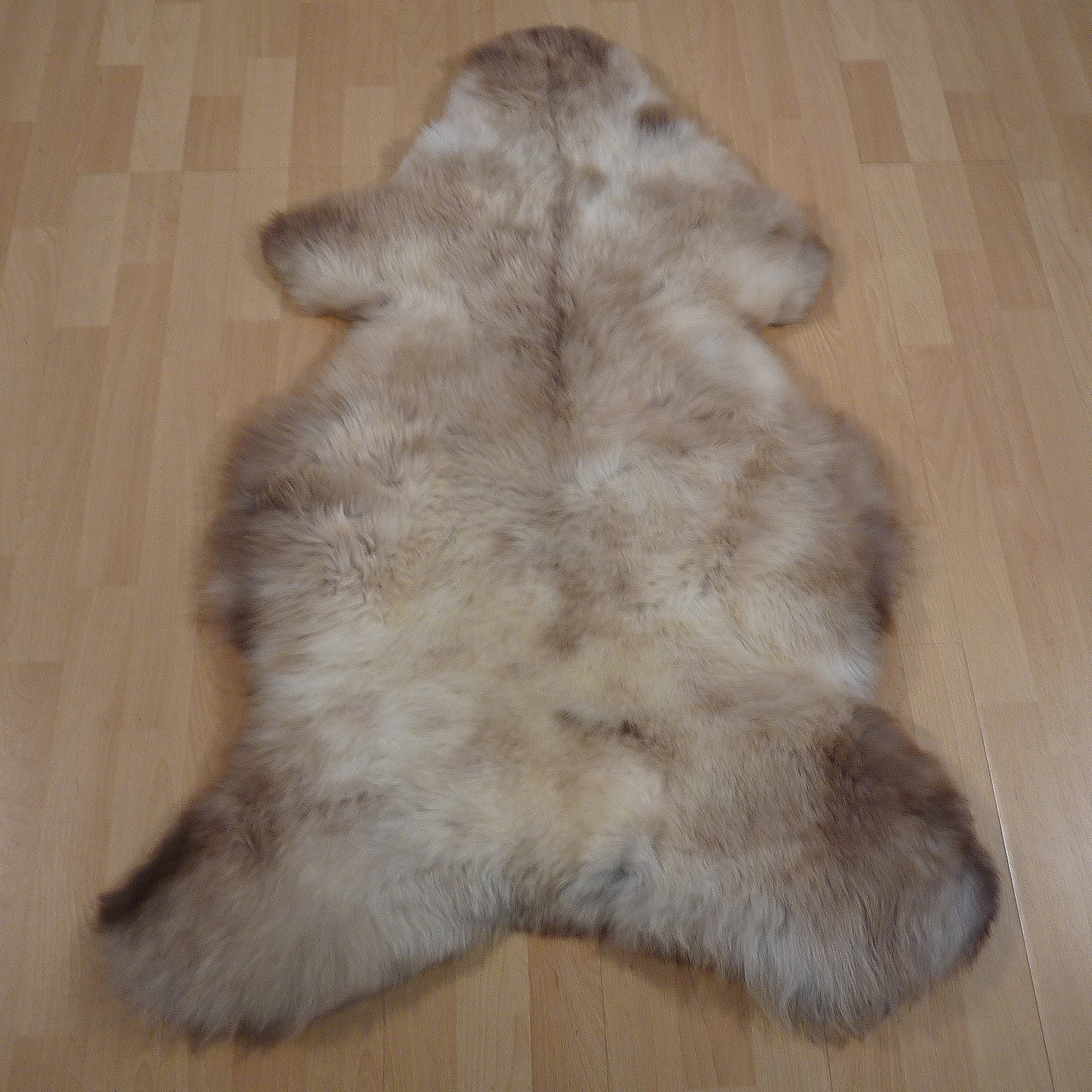 Exklusives Unikat Schaffell weiß - grau - hellbraun 125x75cm #15252