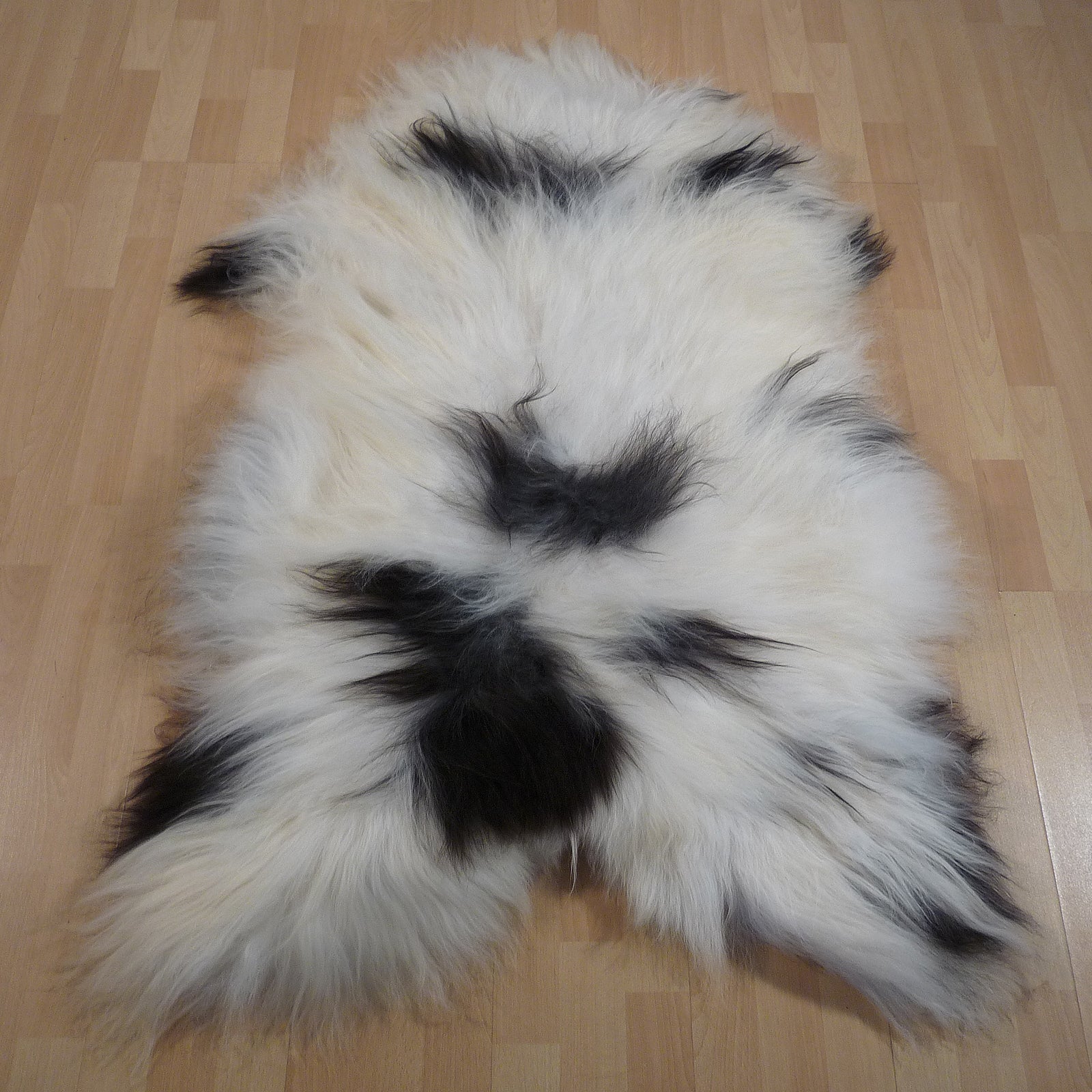 Exklusives Unikat Islandschaffell weiß - schwarz 140x90cm #15292