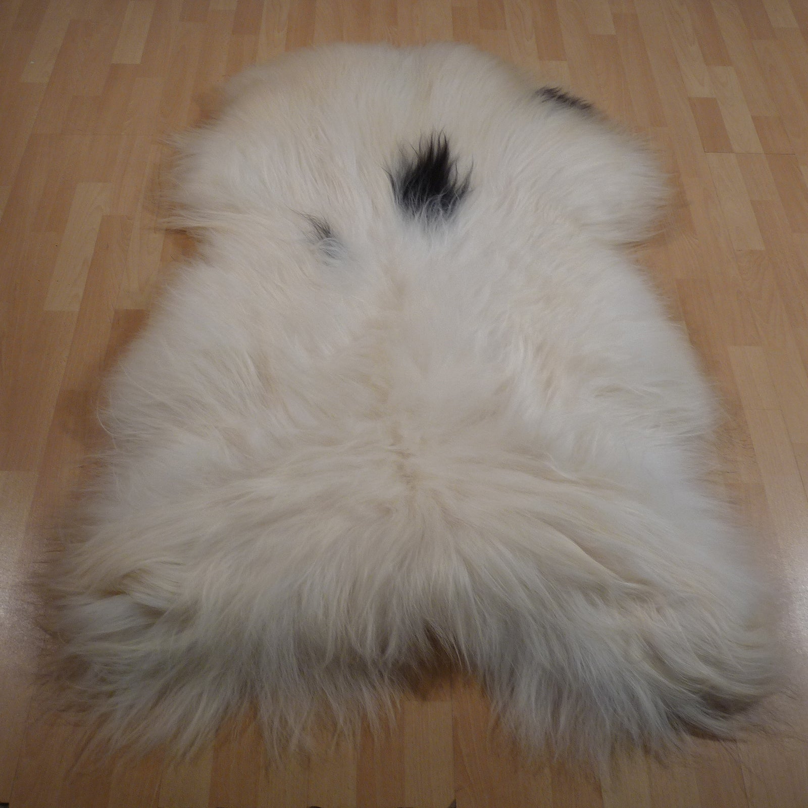 Exklusives Unikat Islandschaffell weiß - schwarz 155x100cm #15748