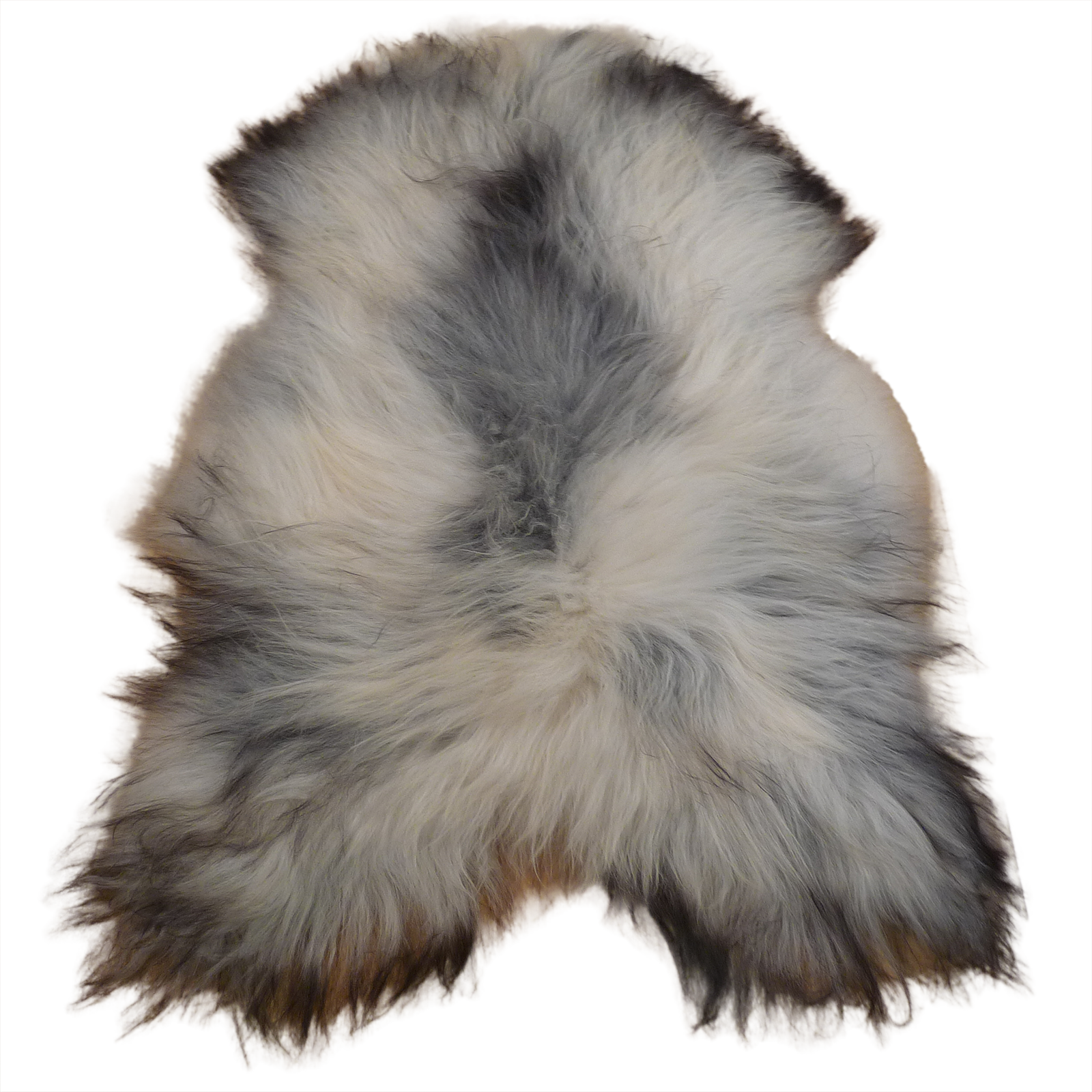 Exklusives Unikat Islandschaffell schwarz - grau 145x90cm #15760