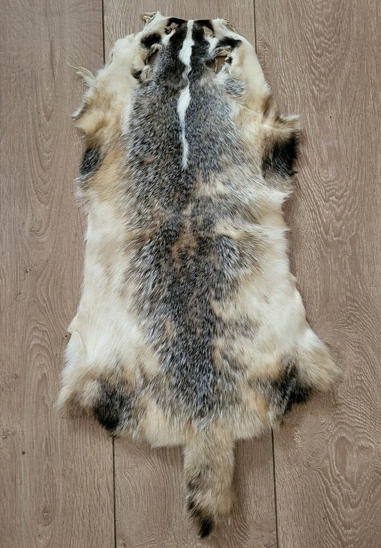 Echtes Dachsfell Wildfell Fell - Kanadischer Silberdachs