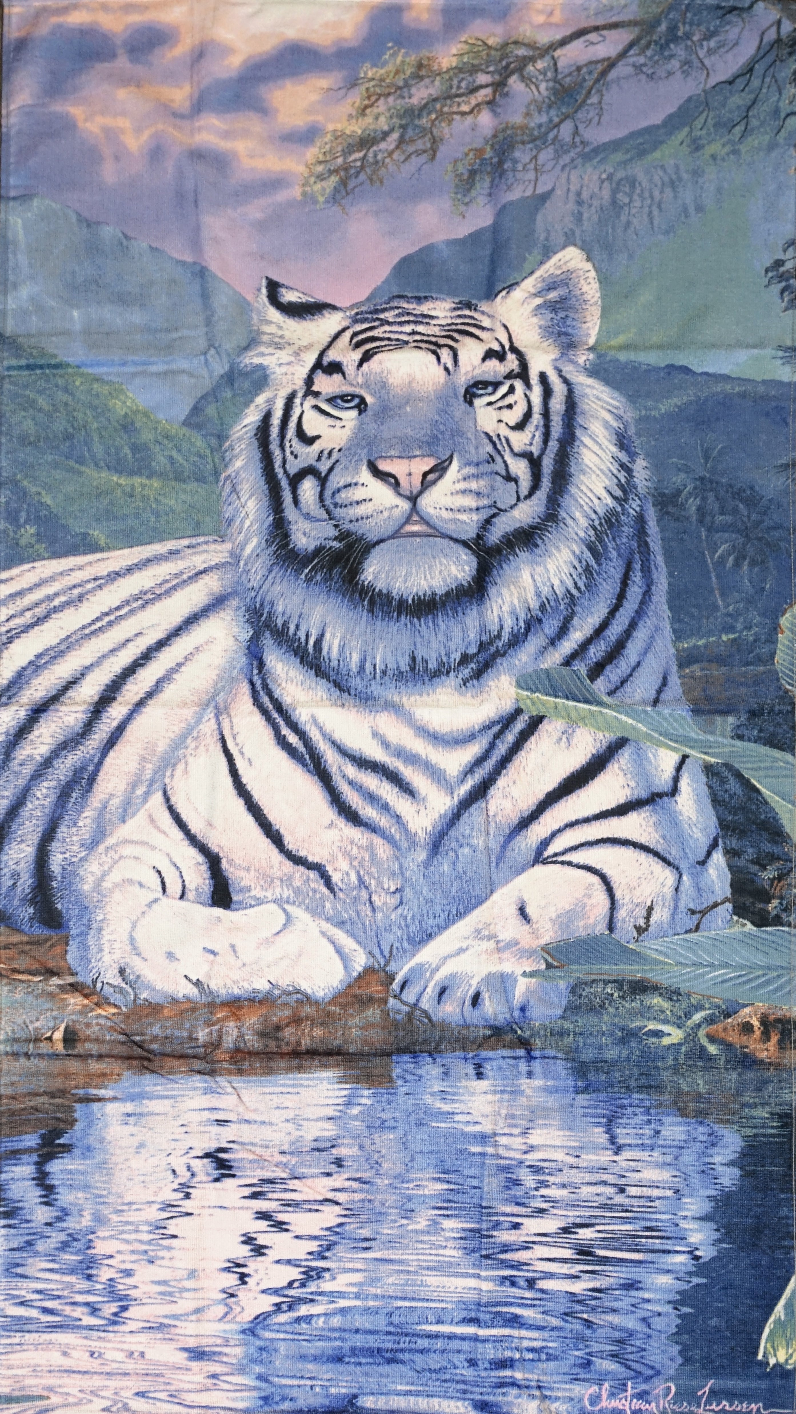 Handtuch Strandtuch Badehandtuch Saunatuch Motiv Tiger 150x70cm
