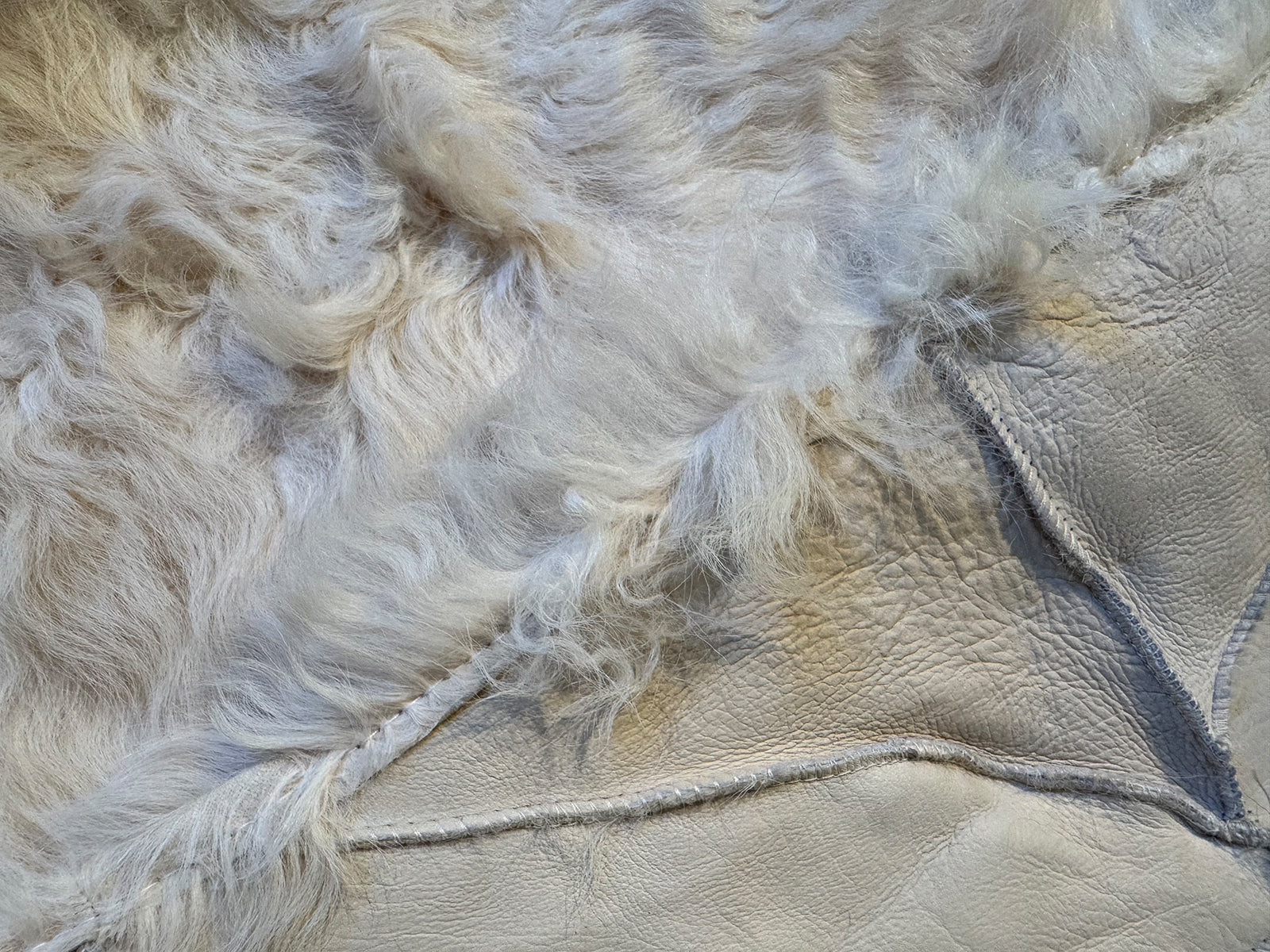 Echter Pelzläufer PL-149 Fellläufer Lammfellläufer 160x60cm wollweiß