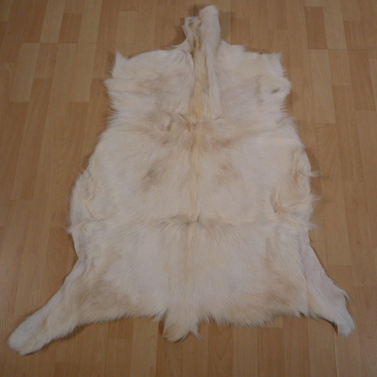Ziegenfell beige 100x70cm #135