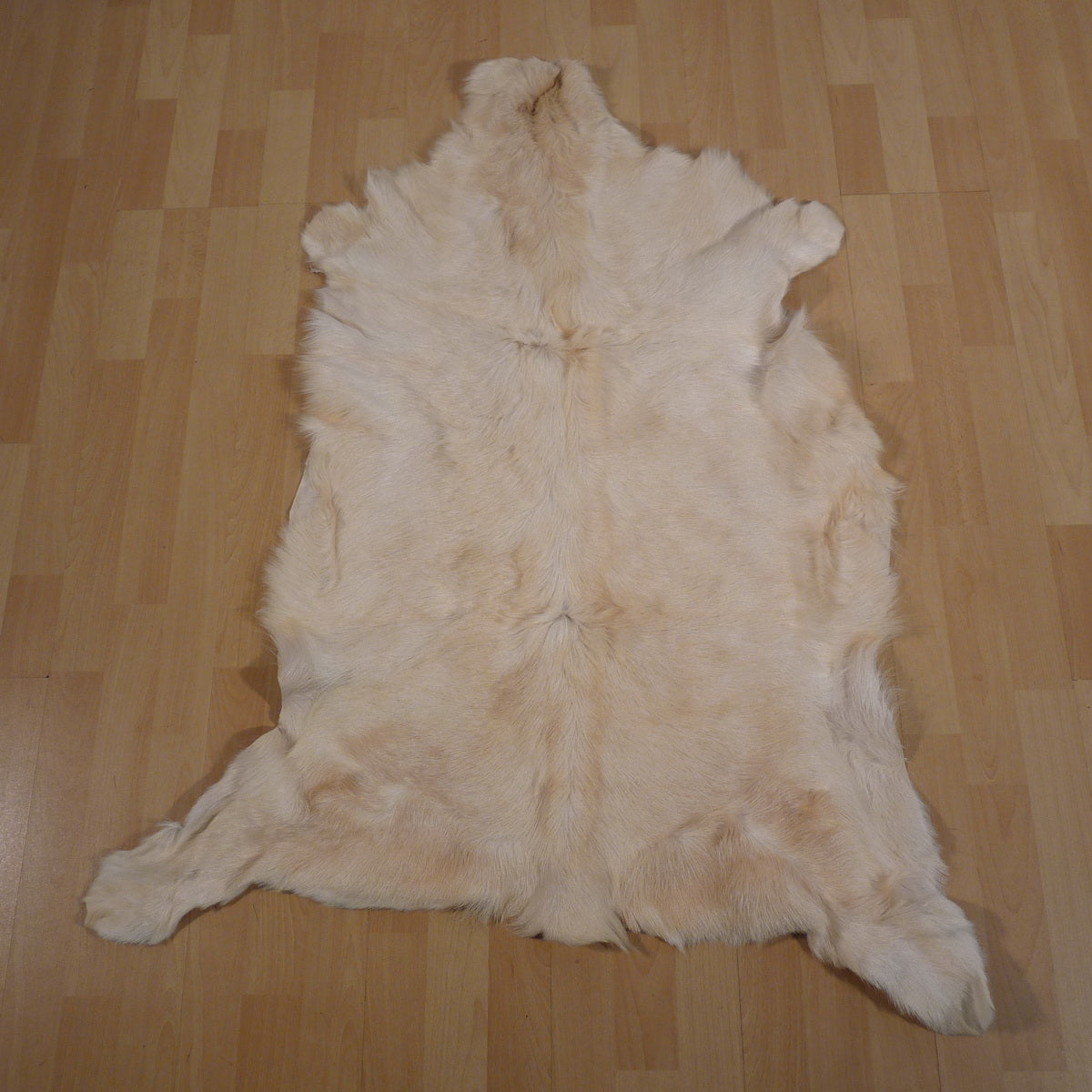 Ziegenfell beige 115x75cm #147