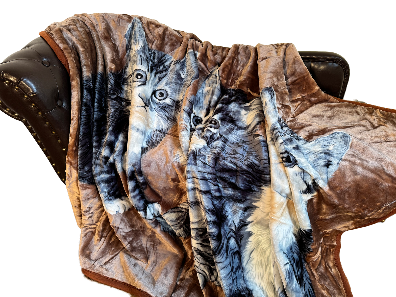 Kuscheldecke Tagesdecke Wohndecke Tiermotiv Katzen grau braun