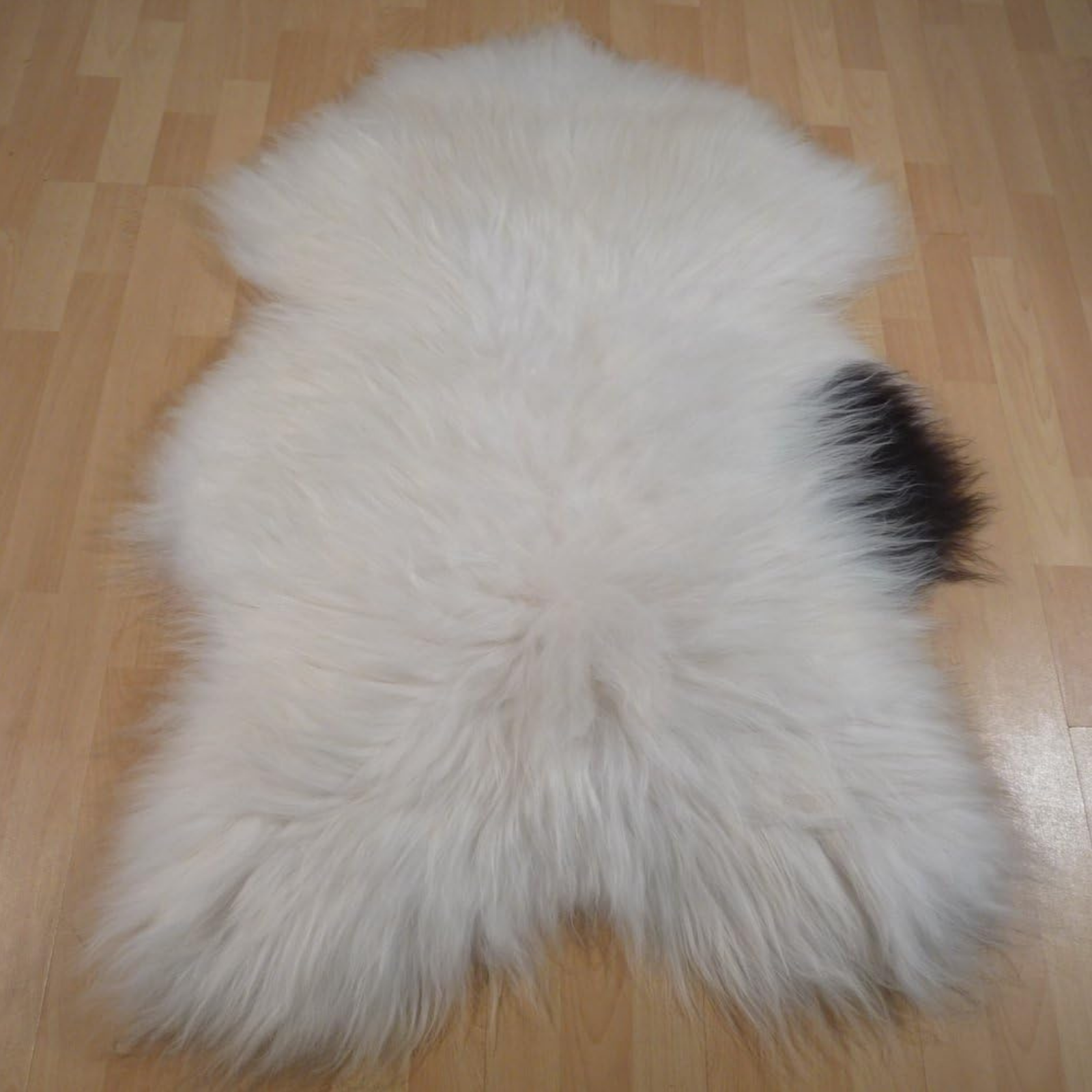 Exklusives Unikat Islandschaffell weiß - schwarz 125x90cm #11022