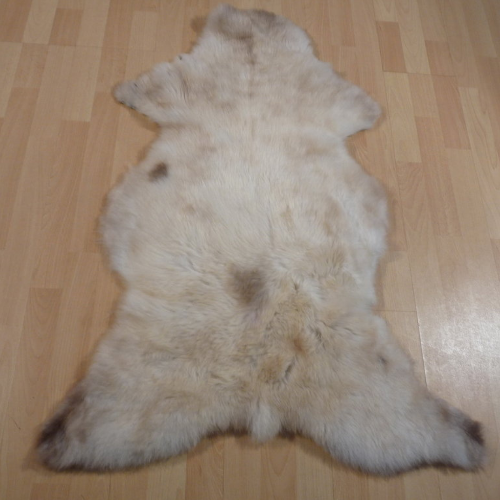 Exklusives Unikat Lammfell weiß - braun 110x80cm #11231