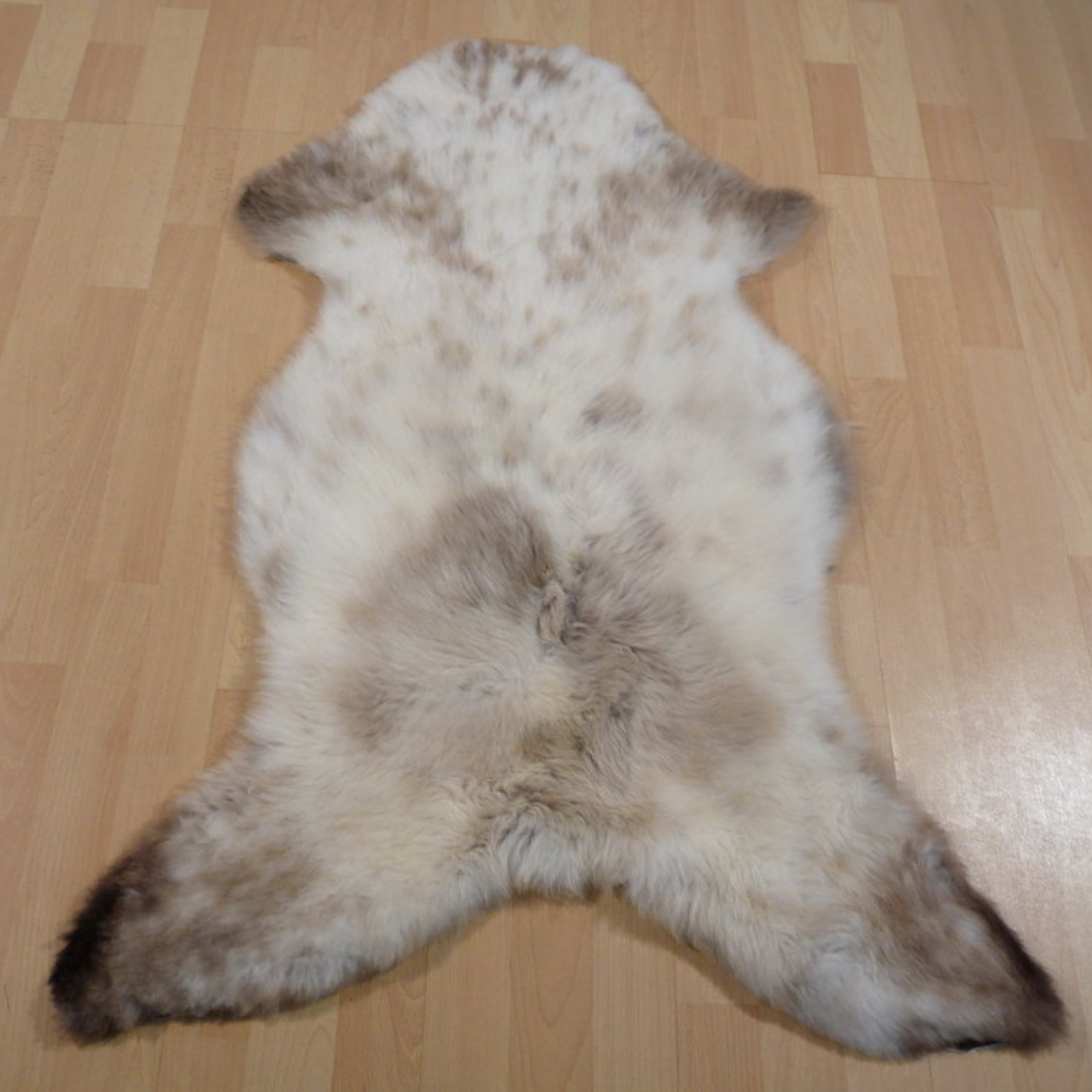 Exklusives Unikat Lammfell weiß - braun 110x75cm #11444