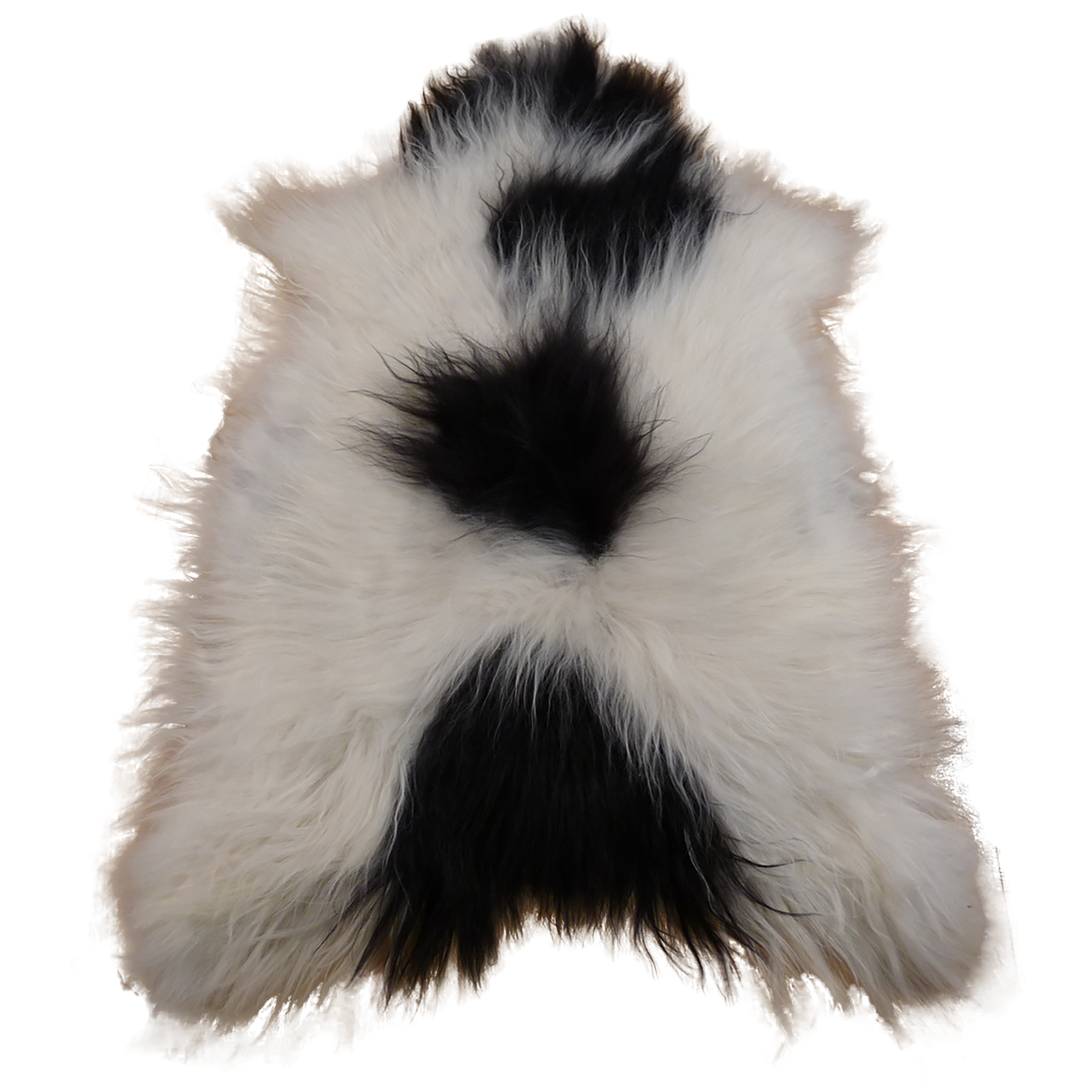 Exklusives Unikat Islandschaffell weiß - schwarz 120x85cm #11546