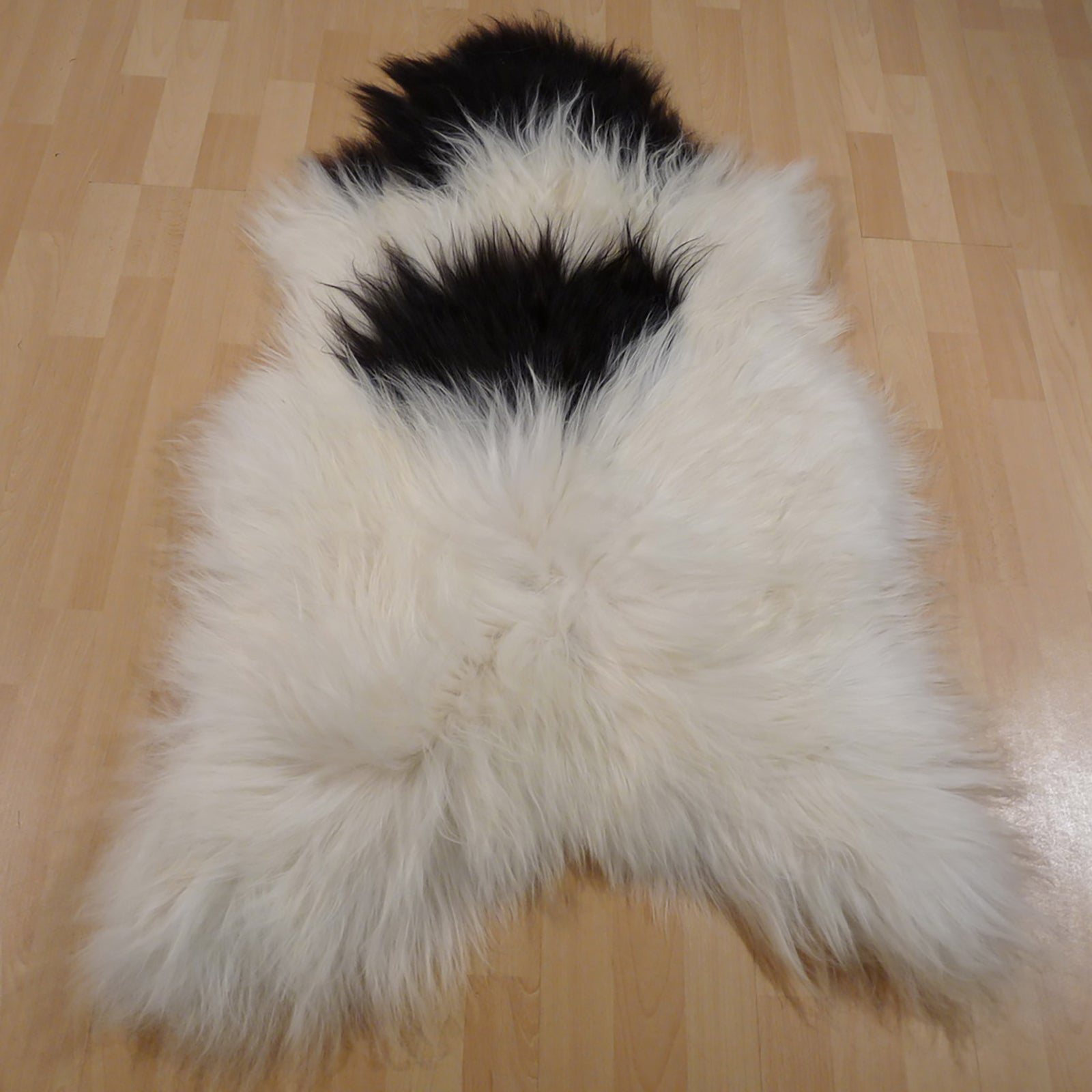 Exklusives Unikat Islandschaffell weiß - schwarz 120x85cm #11554