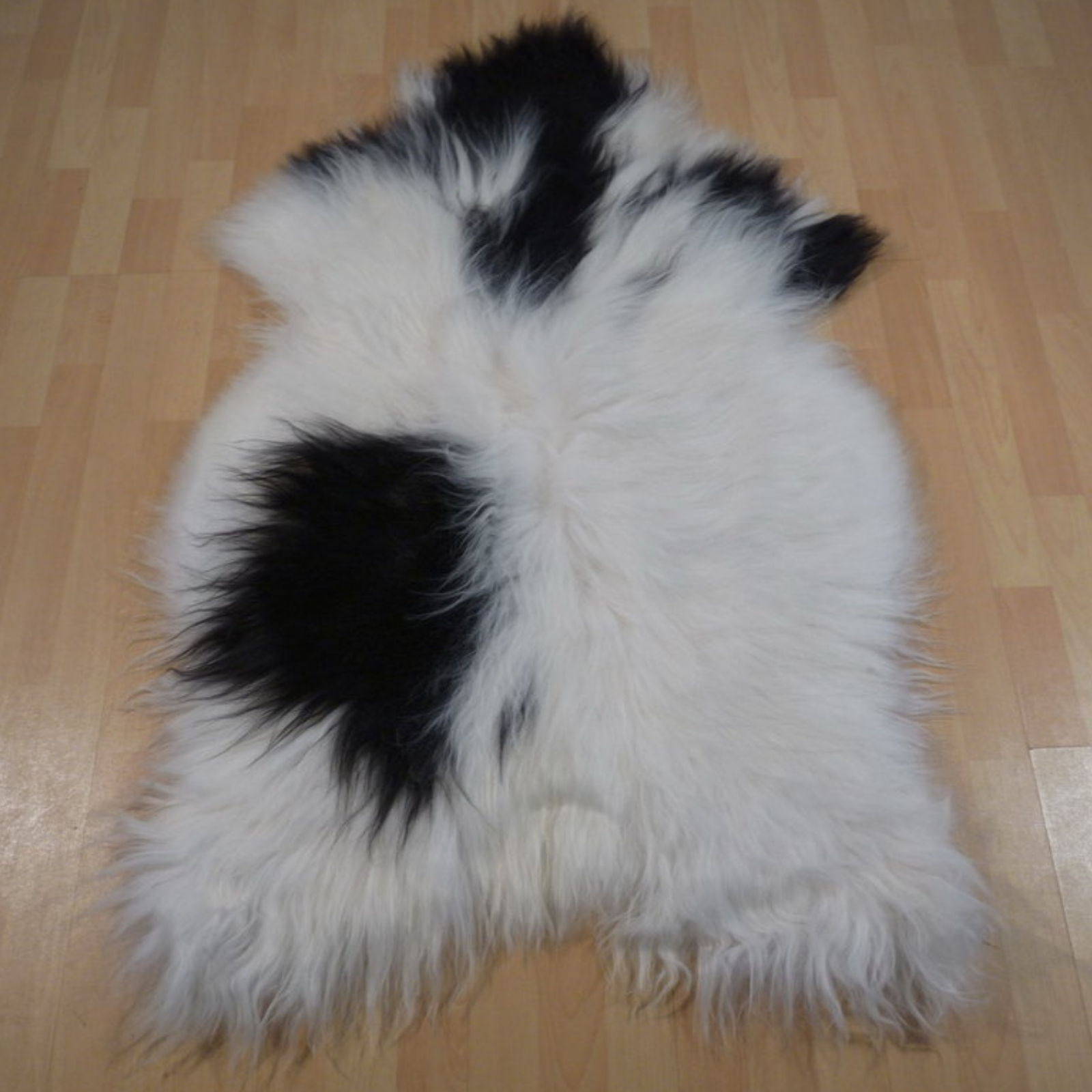 Exklusives Unikat Islandschaffell weiß - schwarz 130x85cm #12087