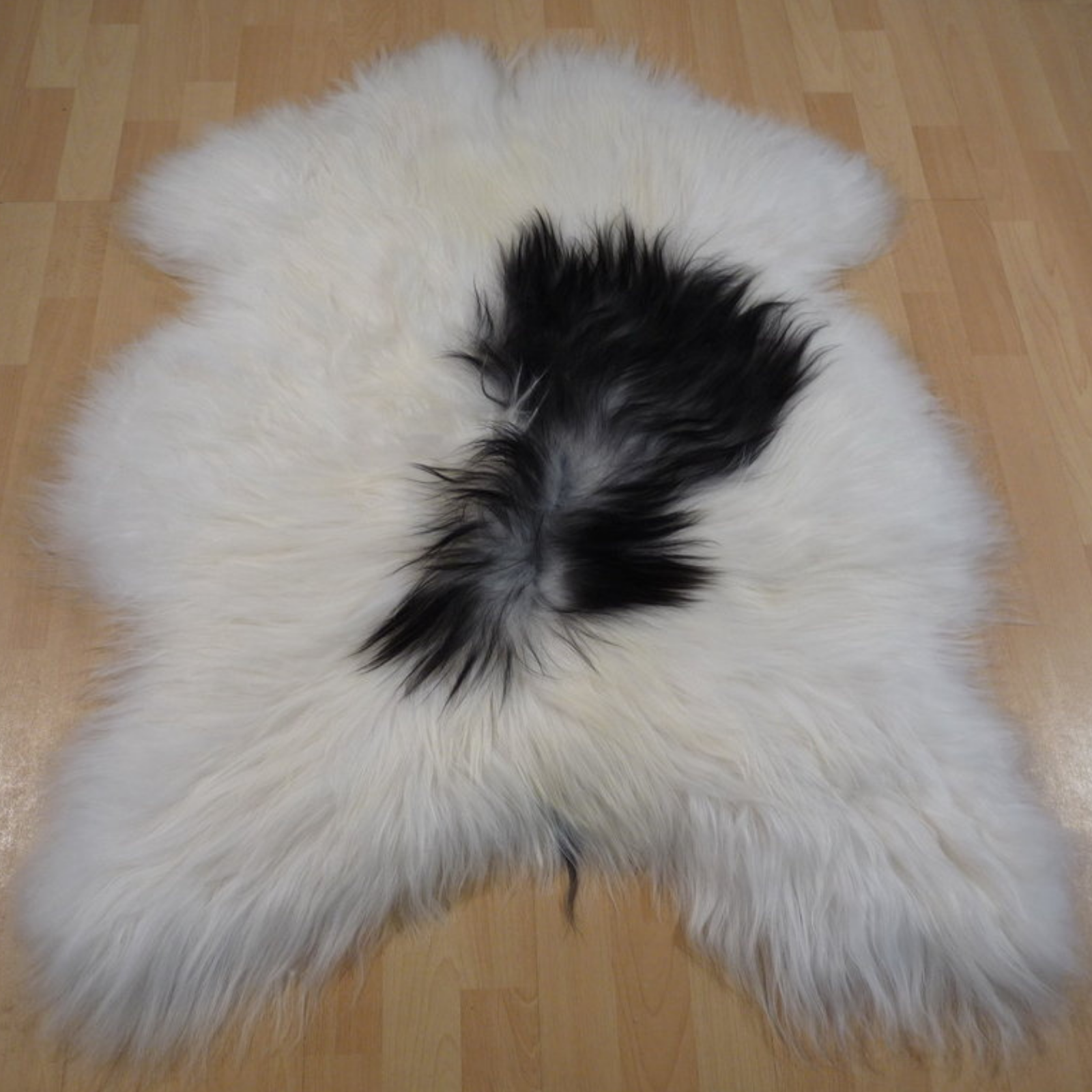 Exklusives Unikat Islandschaffell weiß - schwarz 110x90cm #12103