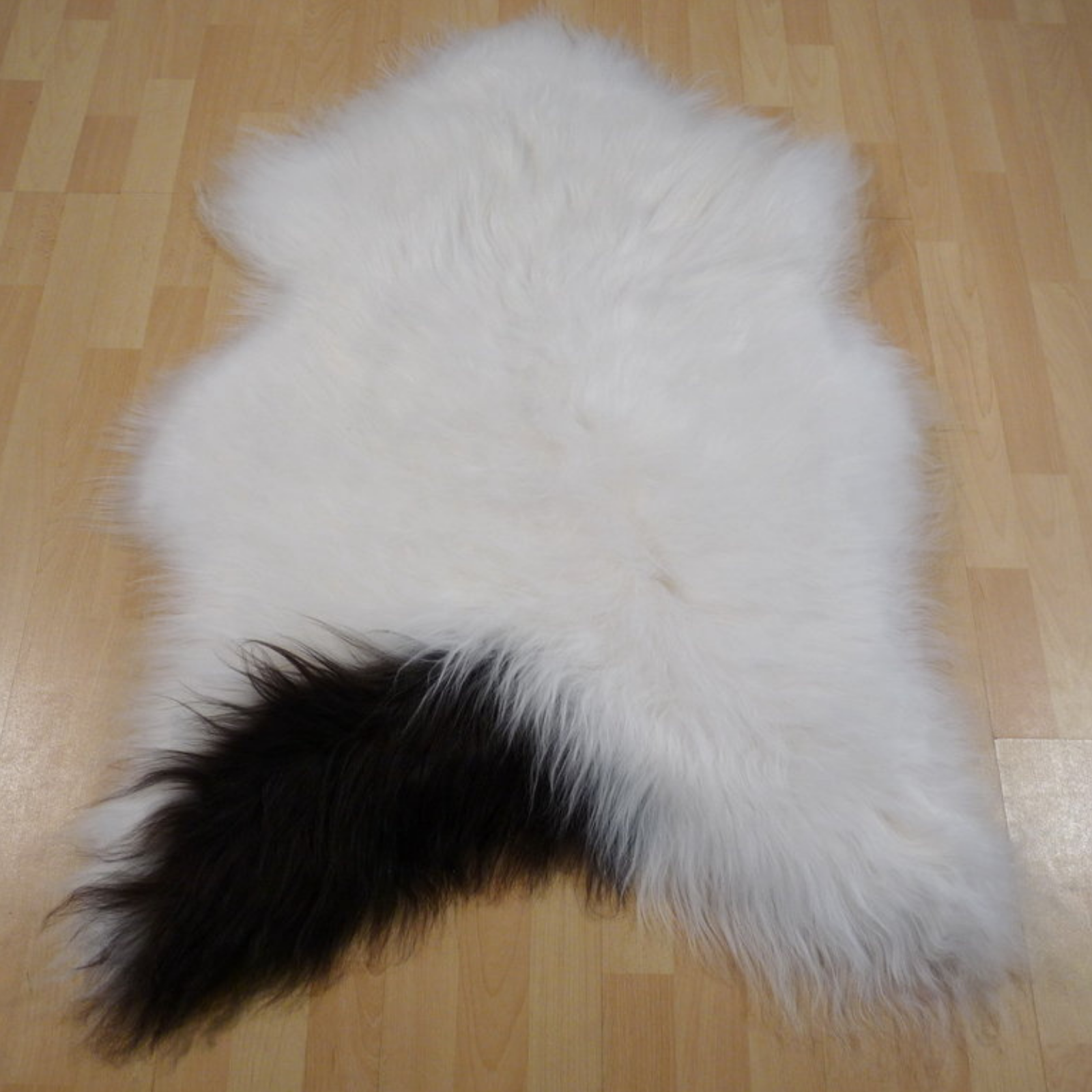 Exklusives Unikat Islandschaffell weiß - dunkelbraun 115x90cm #12105