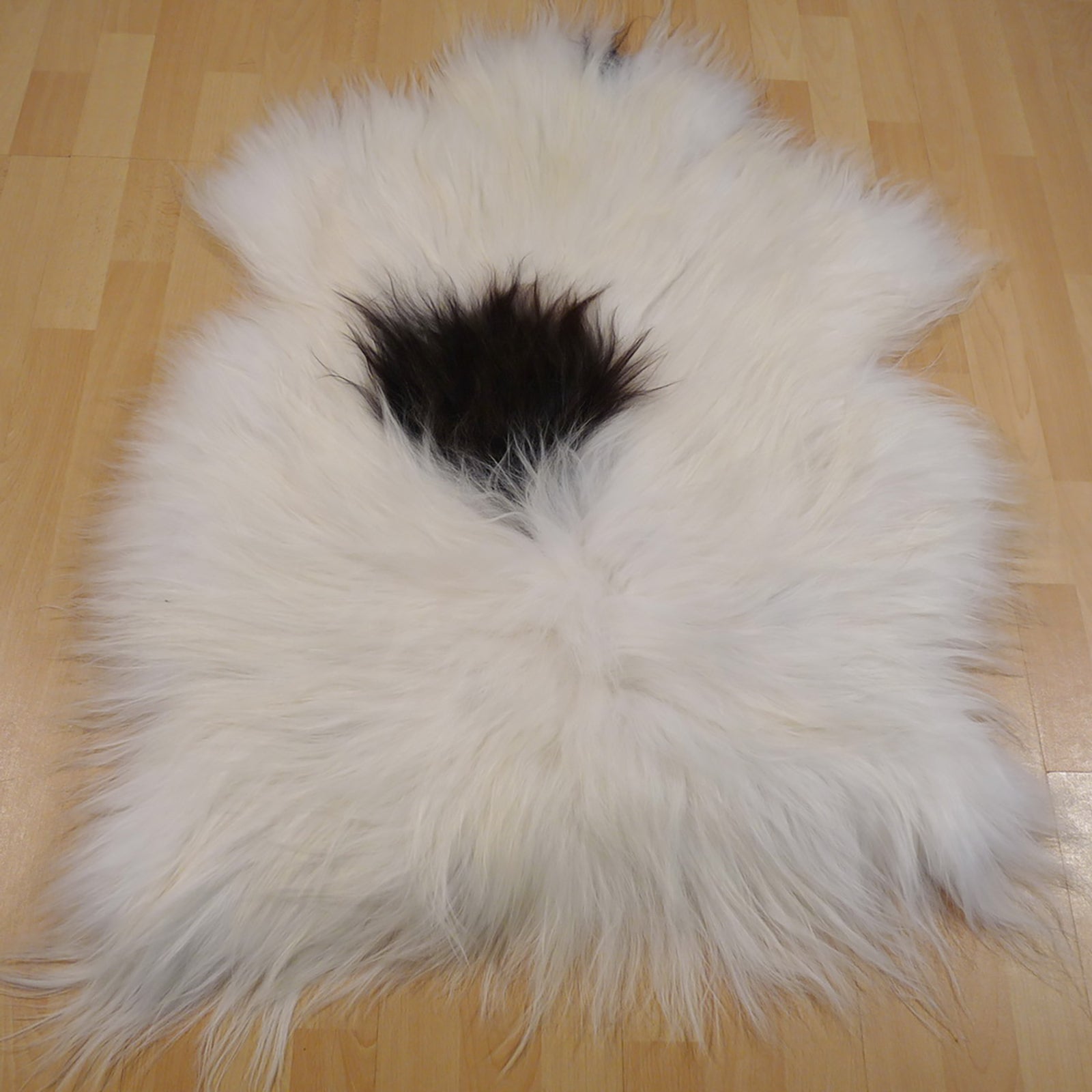 Exklusives Unikat Islandschaffell weiß - schwarz 105x80cm #12118