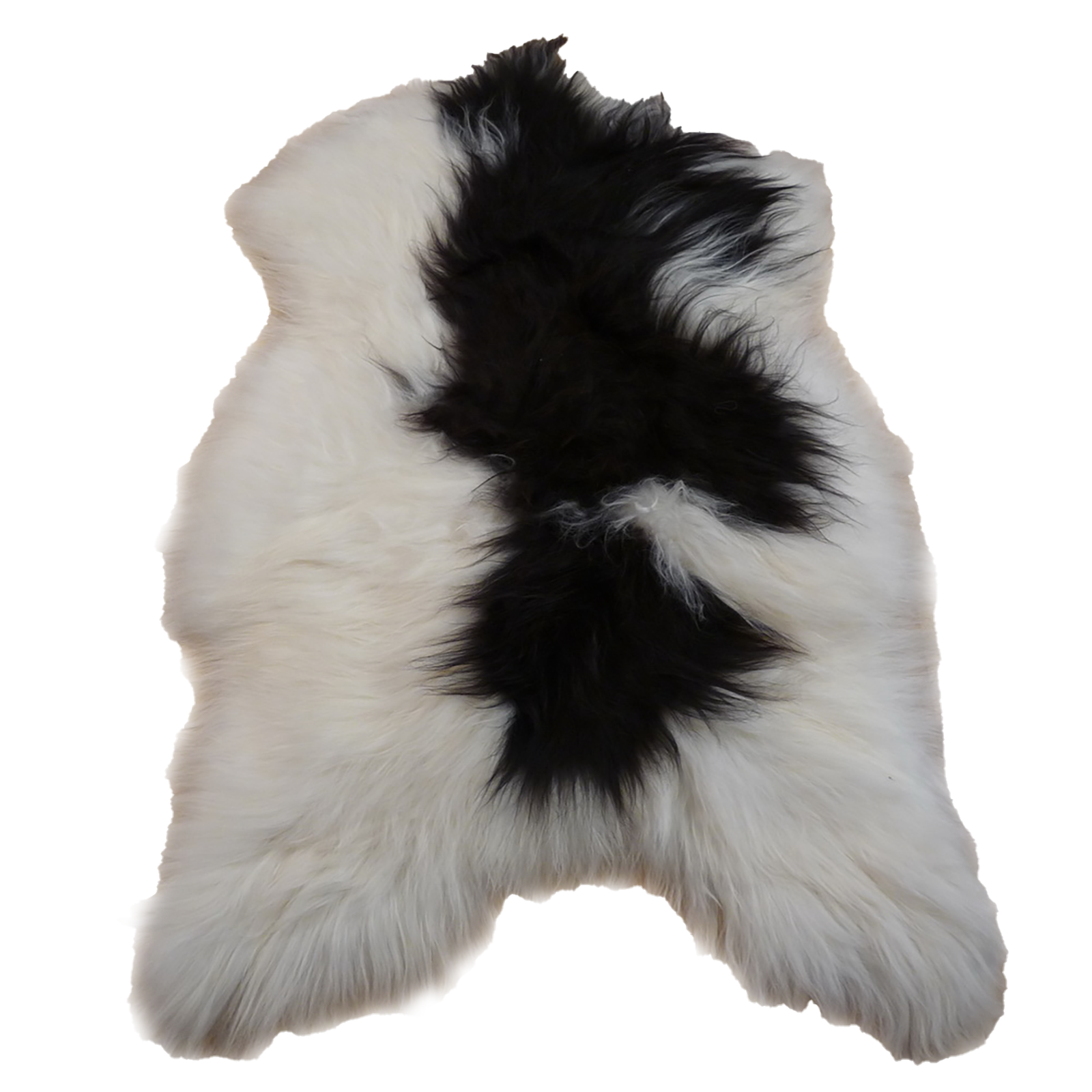 Exklusives Unikat Islandschaffell weiß - dunkelbraun 125x85cm #12353