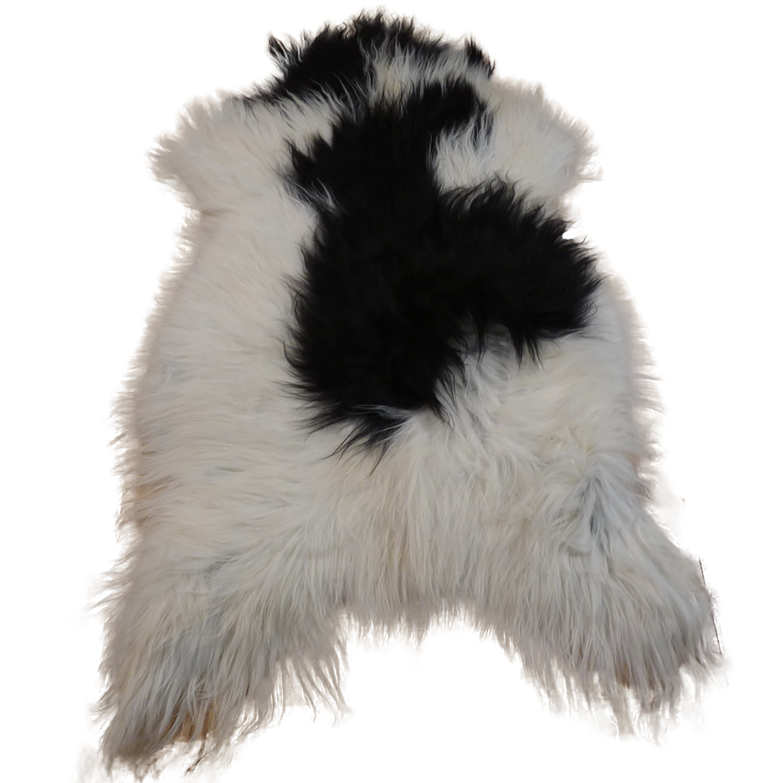 Exklusives Unikat Islandschaffell weiß - schwarz 120x80cm #12362