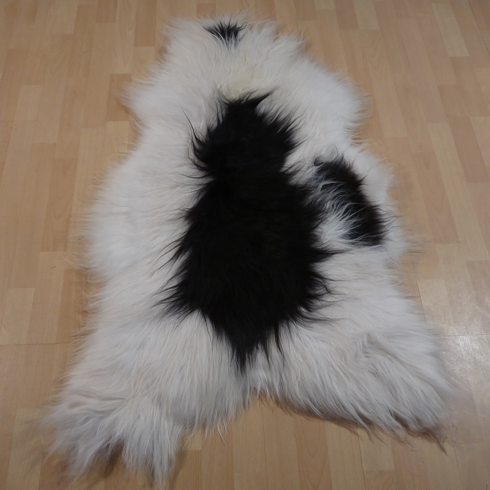 Exklusives Unikat Islandschaffell weiß - schwarz 125x85cm #12501