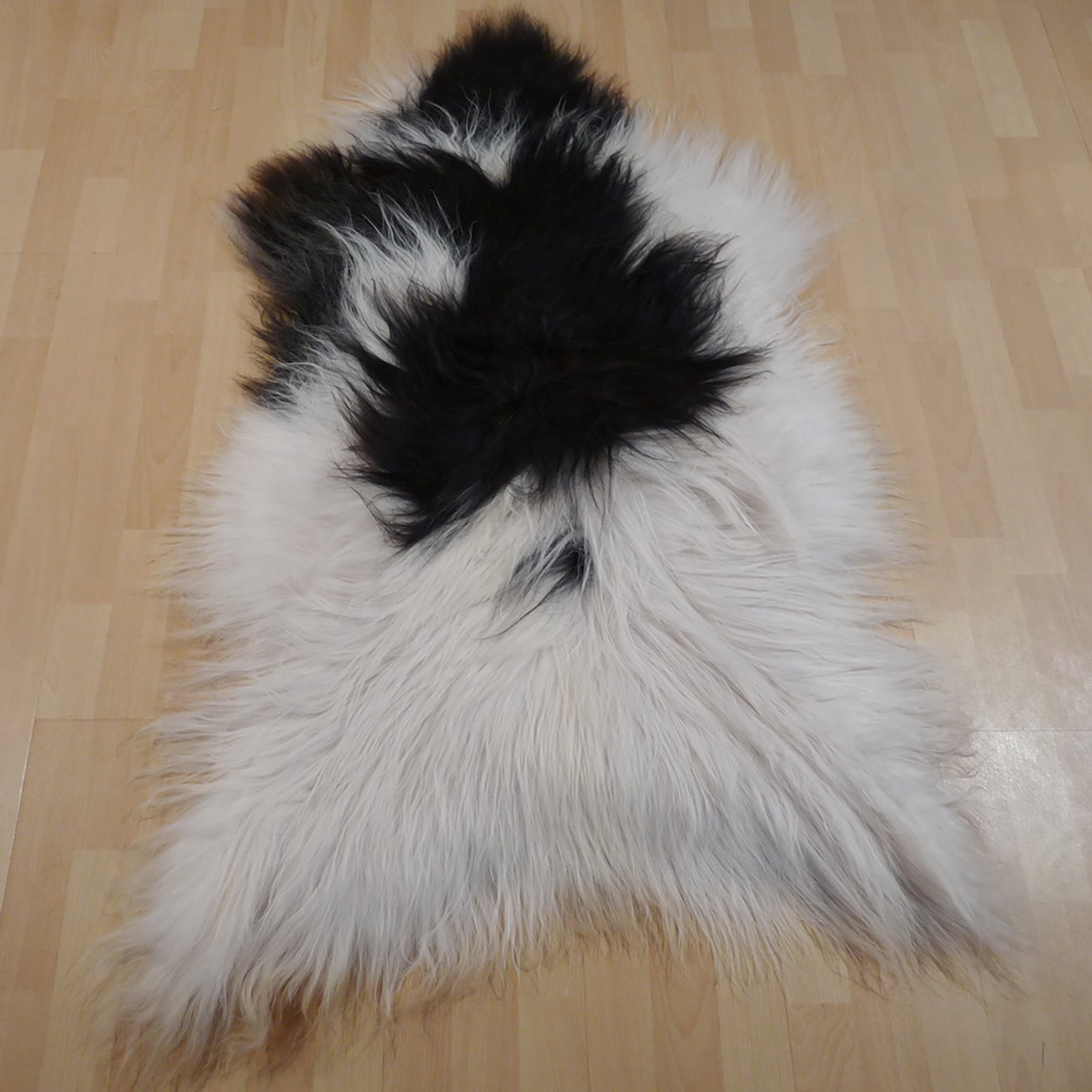 Exklusives Unikat Islandschaffell weiß - schwarz 135x90cm #12559