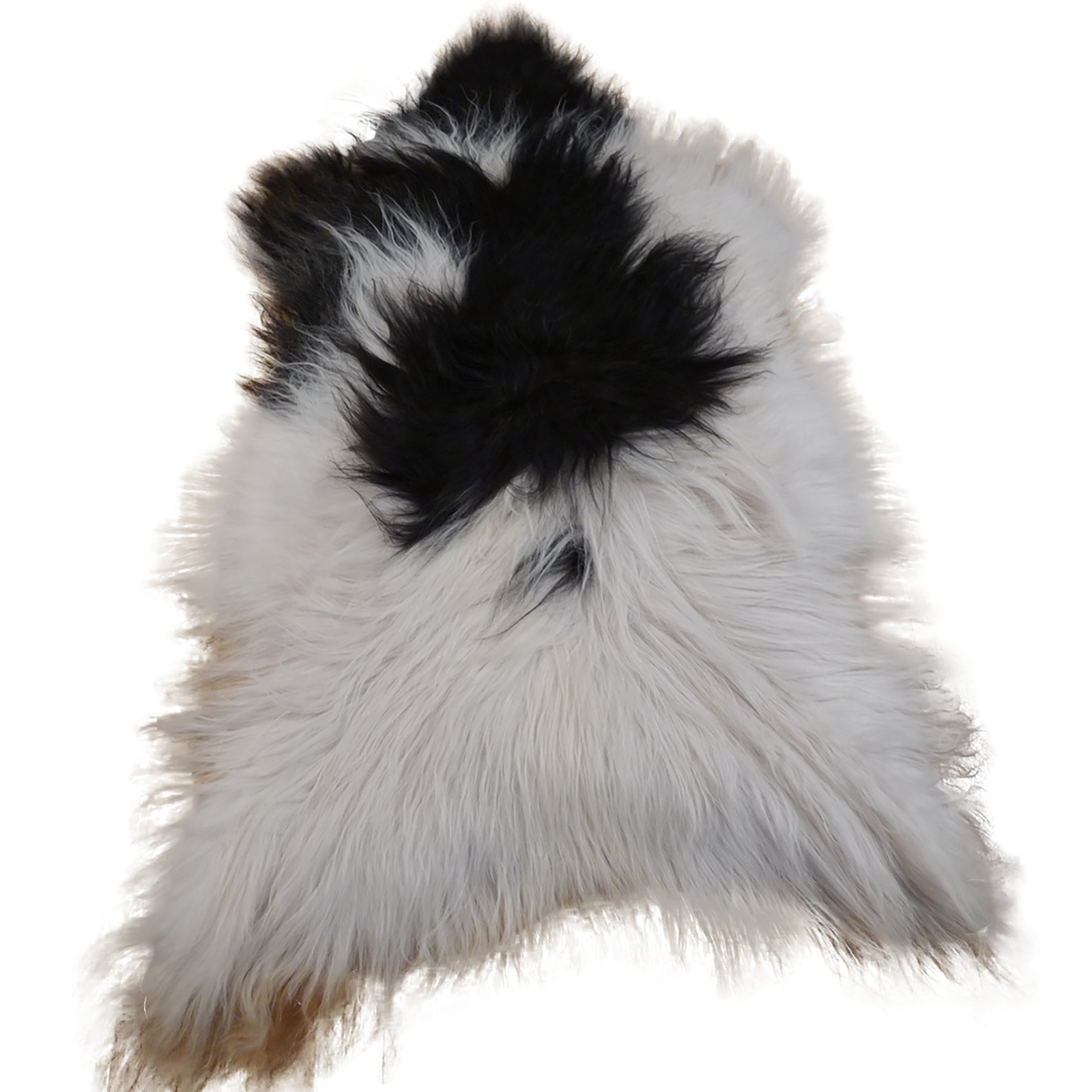 Exklusives Unikat Islandschaffell weiß - schwarz 135x90cm #12559