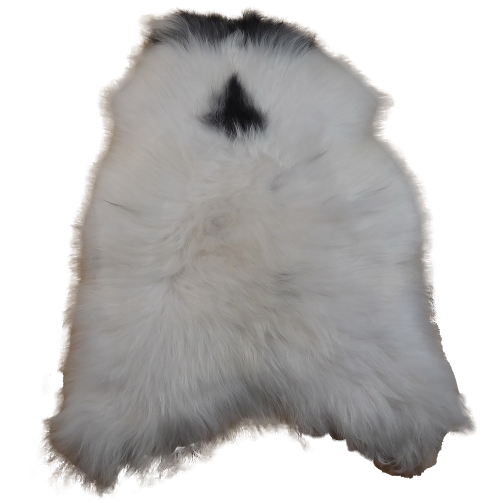 Exklusives Unikat Islandschaffell weiß - schwarz 130x90cm #12578