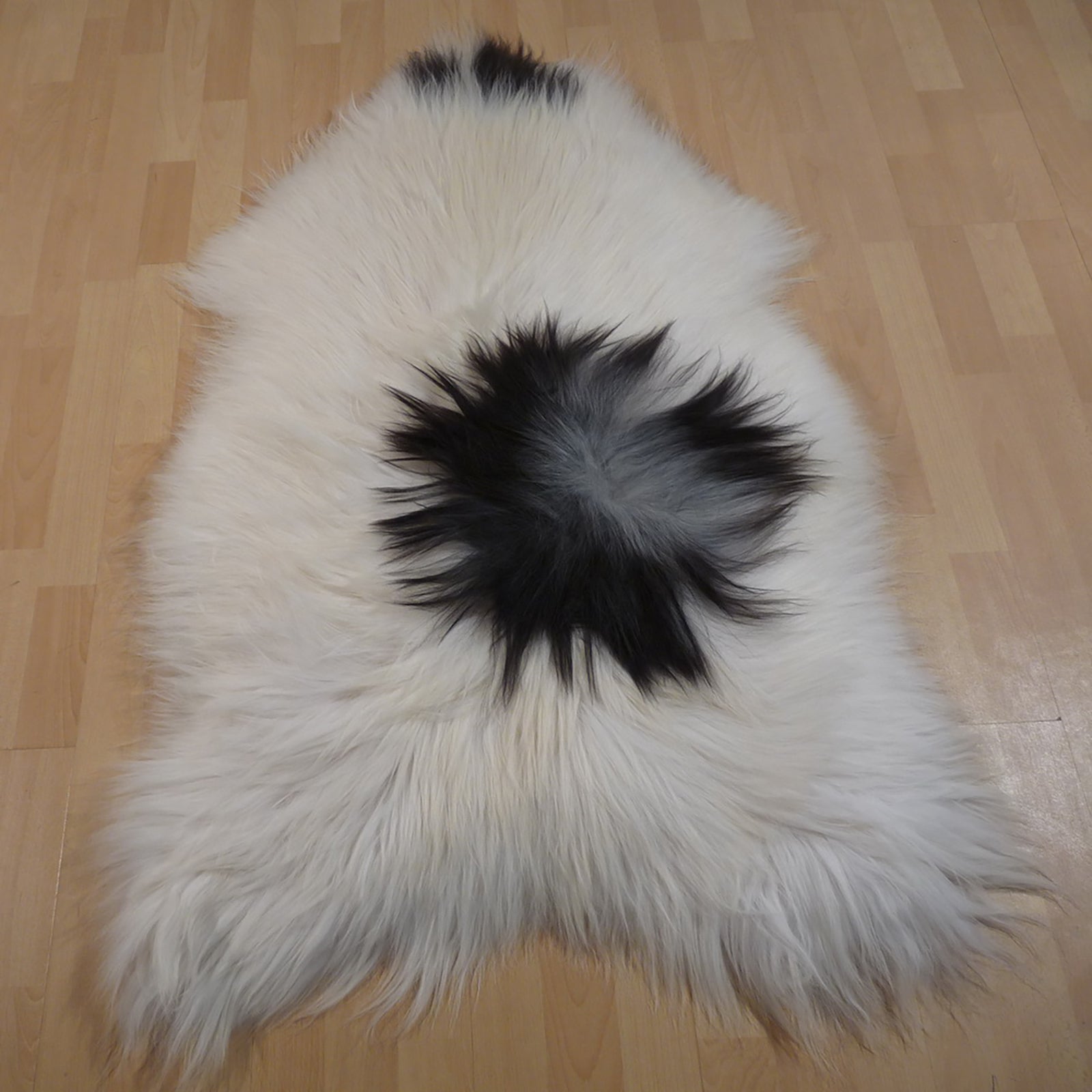 Exklusives Unikat Islandschaffell weiß - schwarz 130x85cm #12579