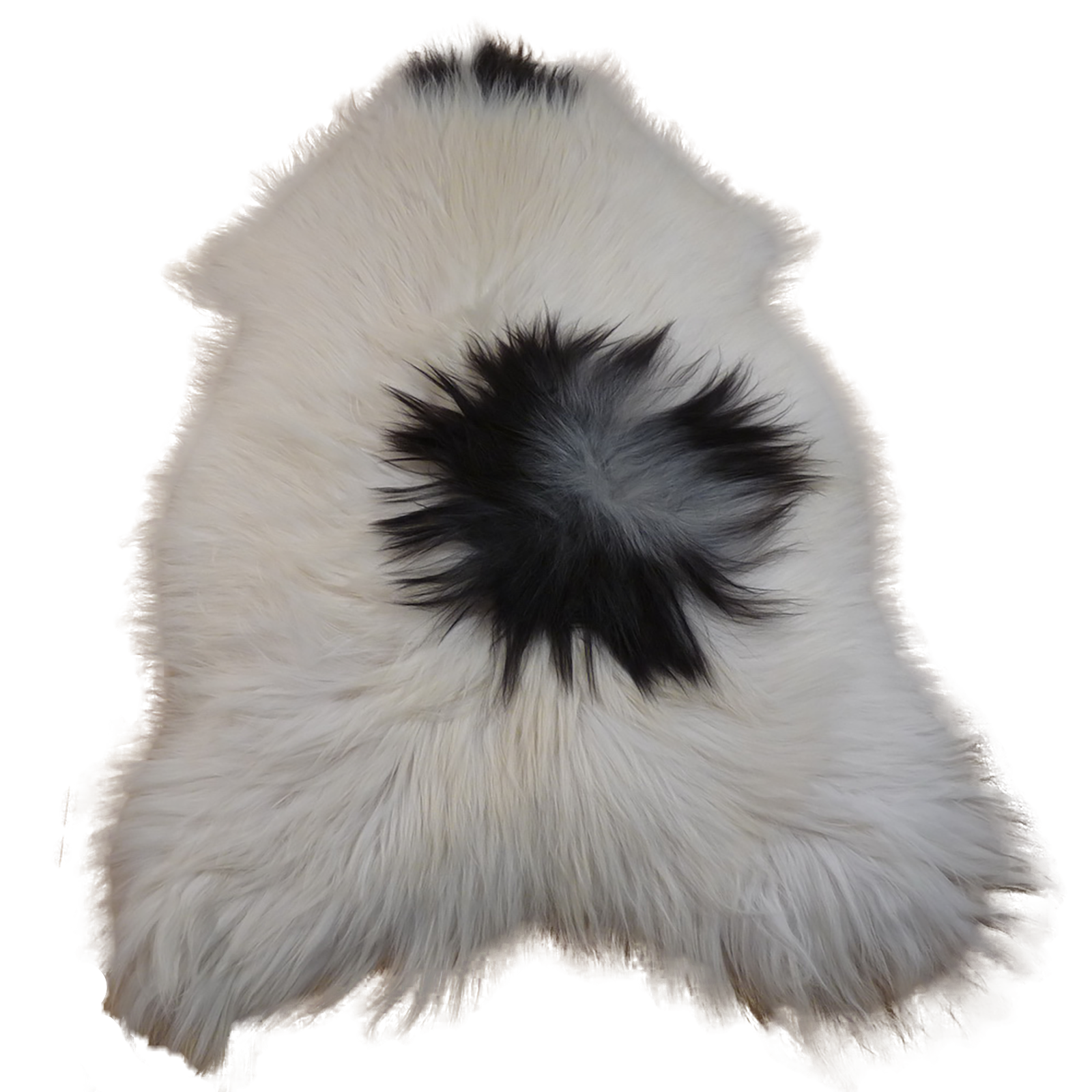 Exklusives Unikat Islandschaffell weiß - schwarz 130x85cm #12579