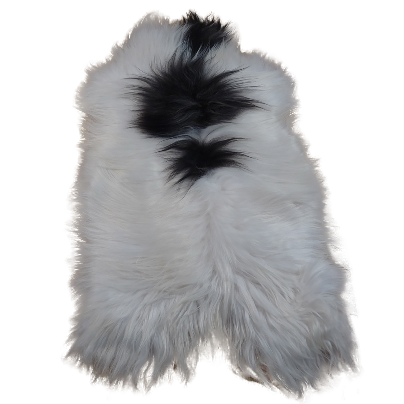 Exklusives Unikat Islandschaffell weiß - schwarz 135x85cm #12625