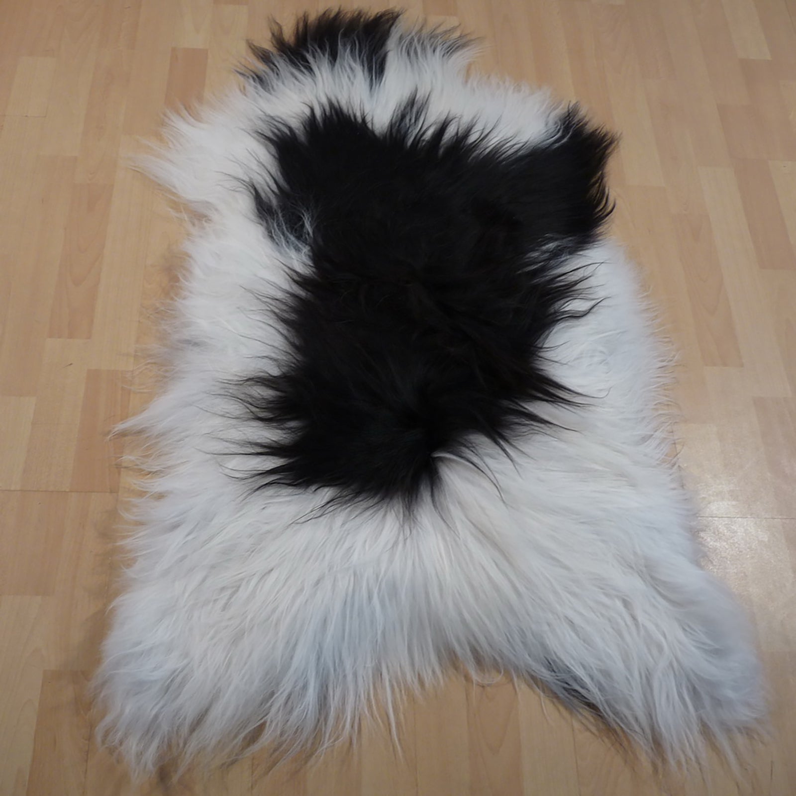 Exklusives Unikat Islandschaffell weiß - schwarz 120x85cm #12713