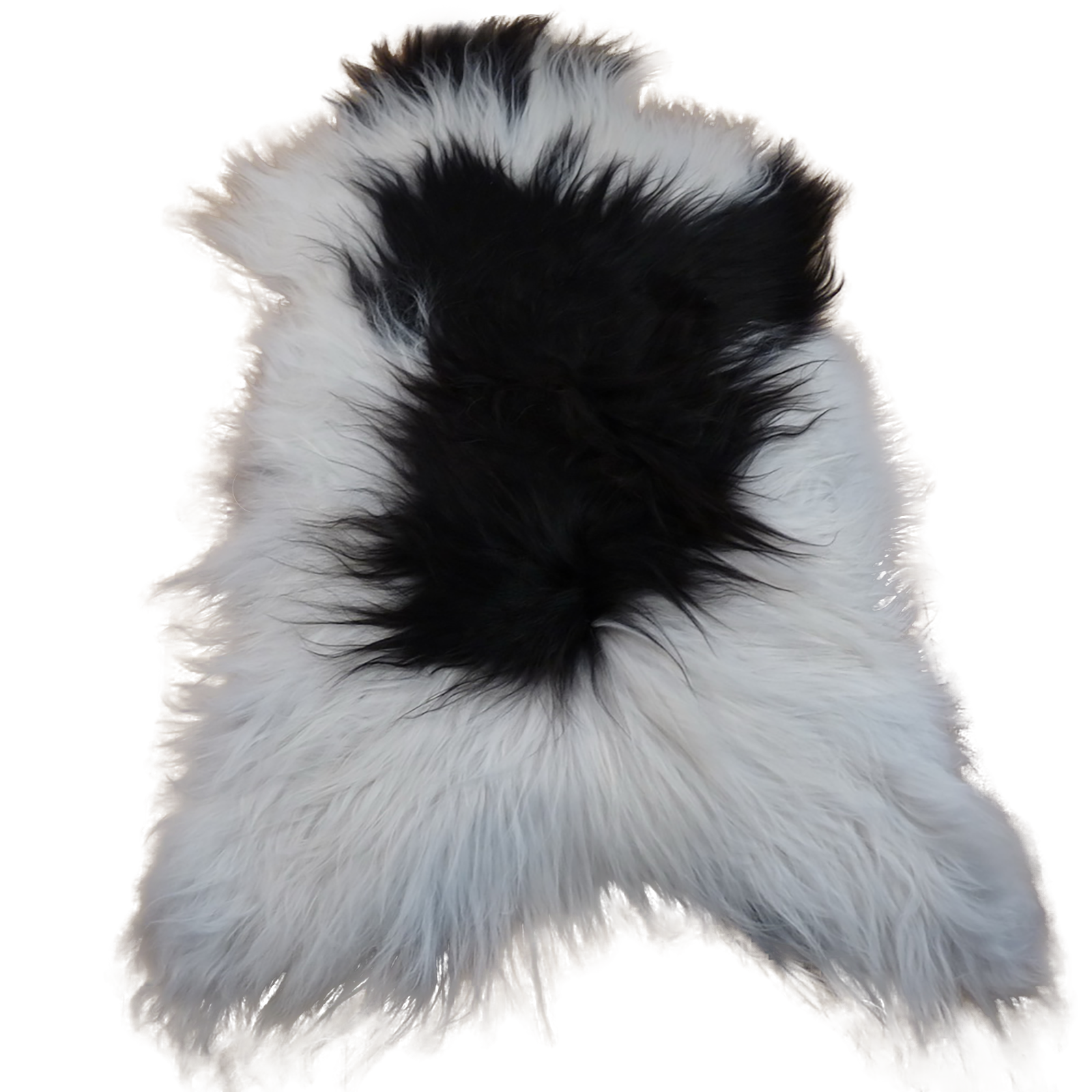 Exklusives Unikat Islandschaffell weiß - schwarz 120x85cm #12713