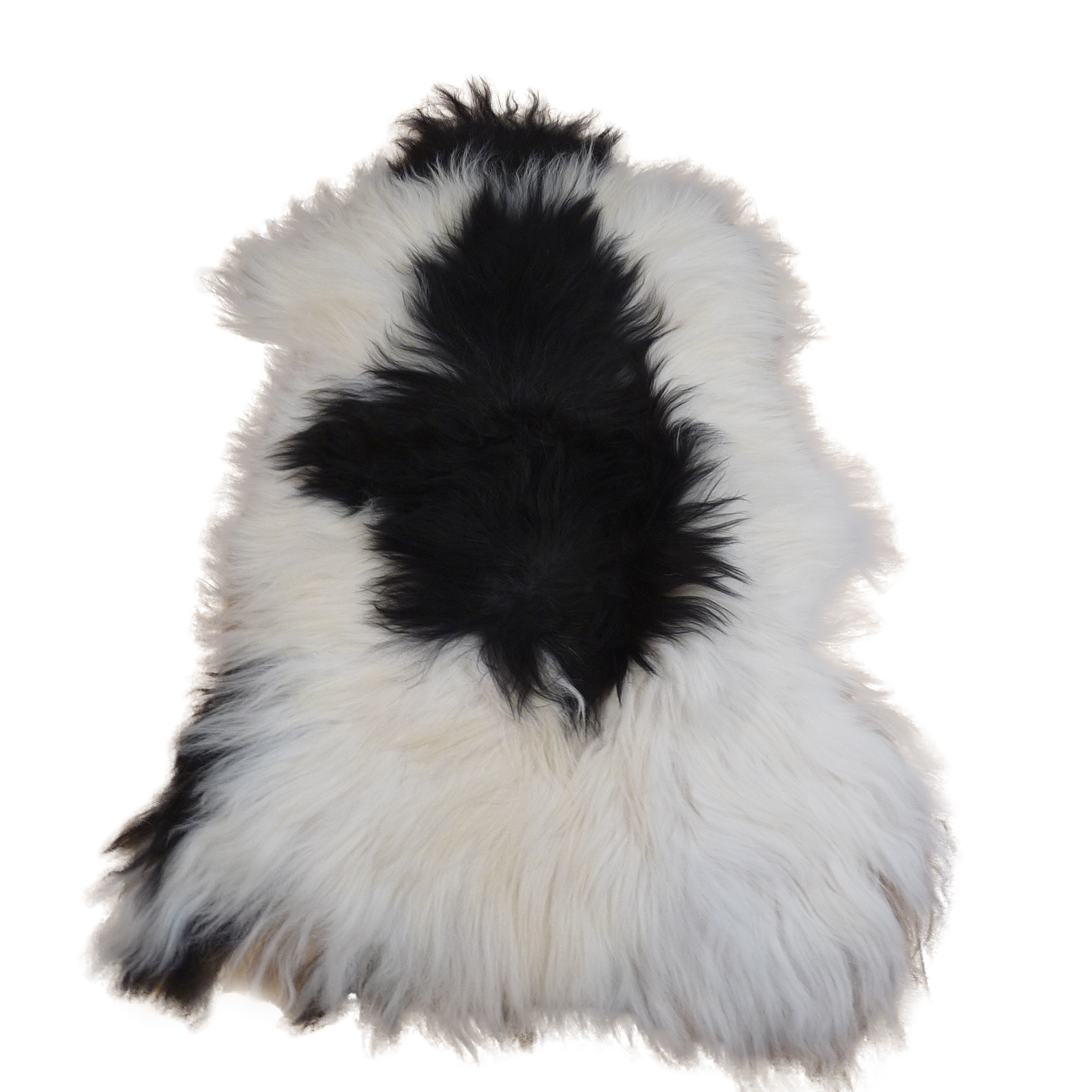 Exklusives Unikat Islandschaffell weiß - schwarz 135x90cm #14901