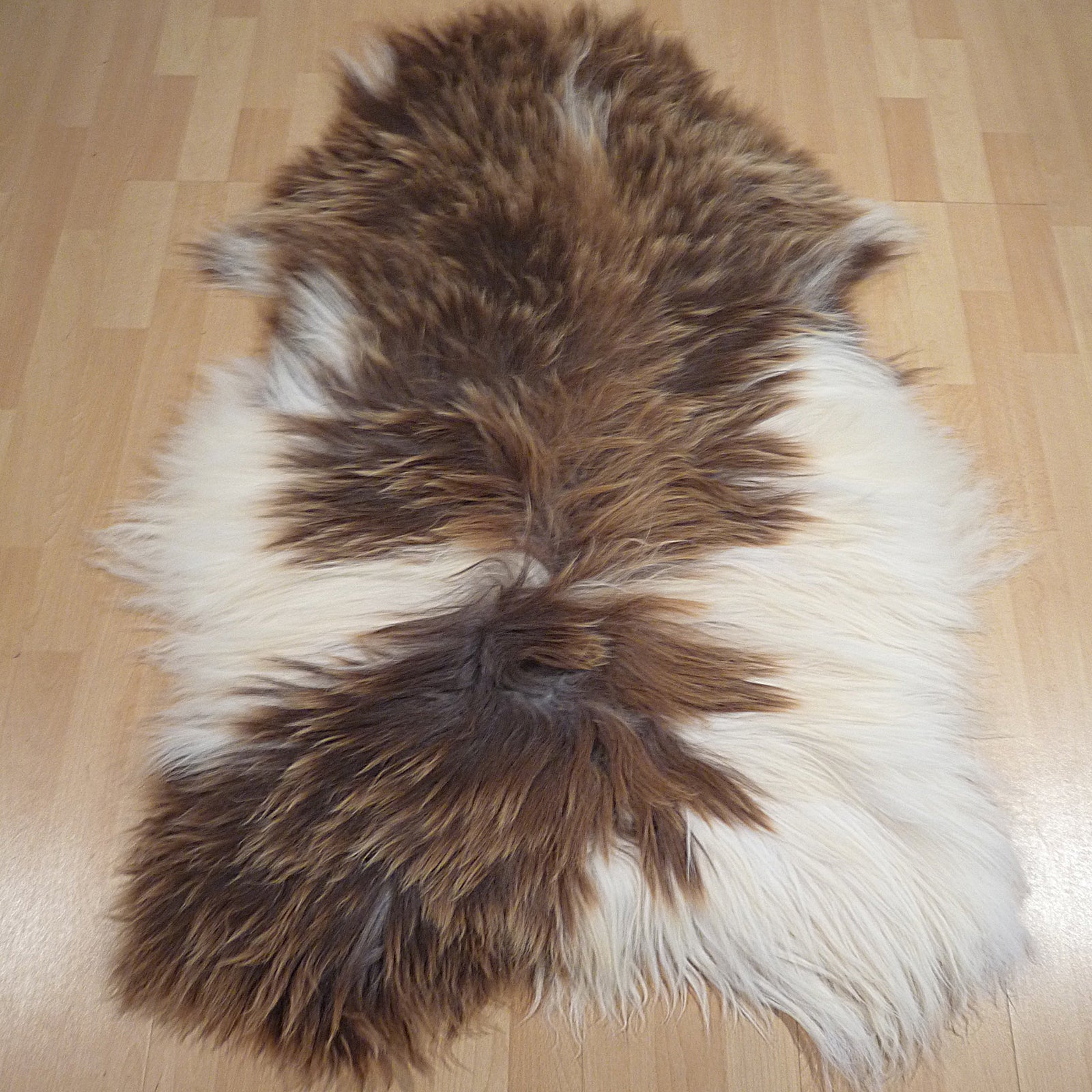 Exklusives Unikat Islandschaffell weiß - braun 140x100cm #14902