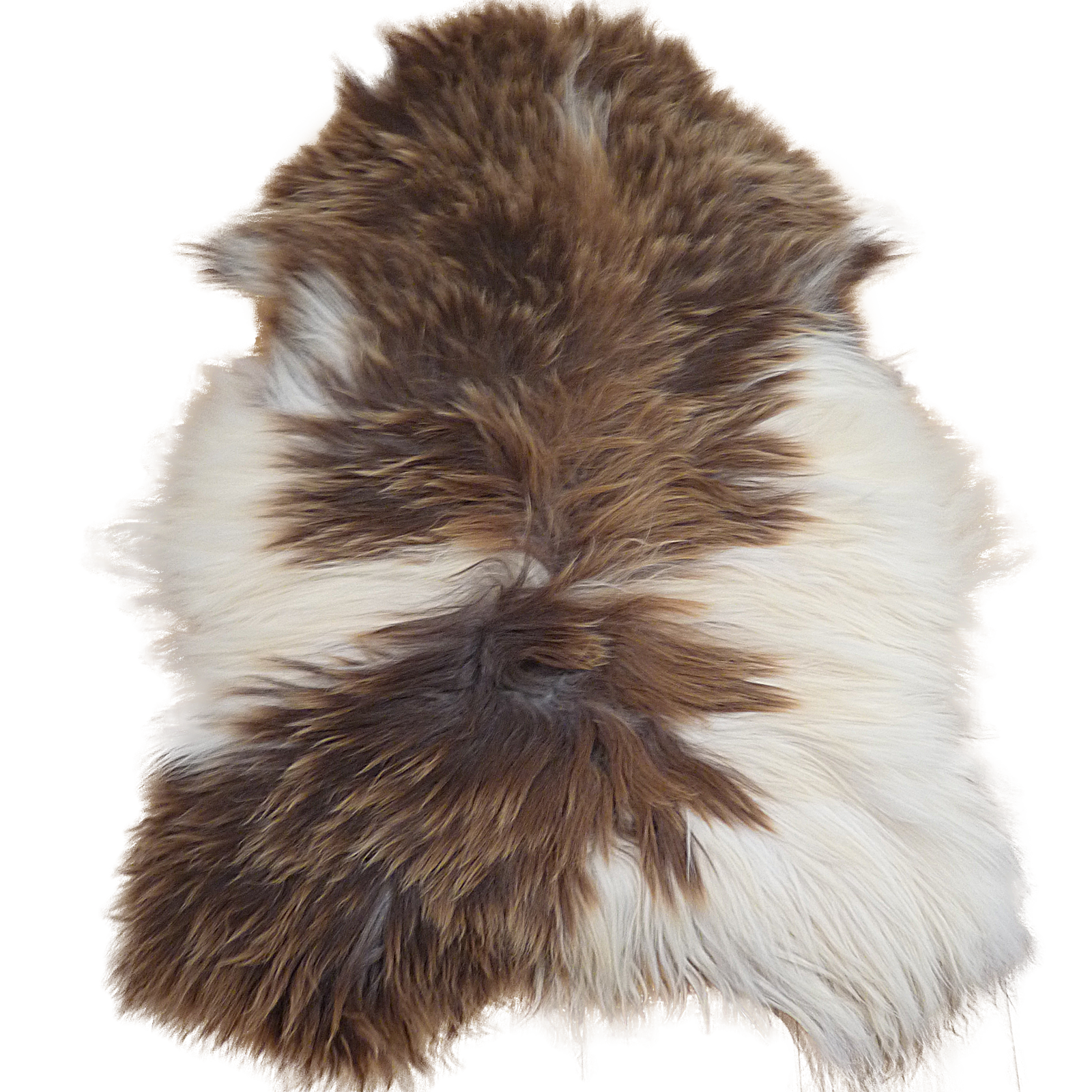 Exklusives Unikat Islandschaffell weiß - braun 140x100cm #14902