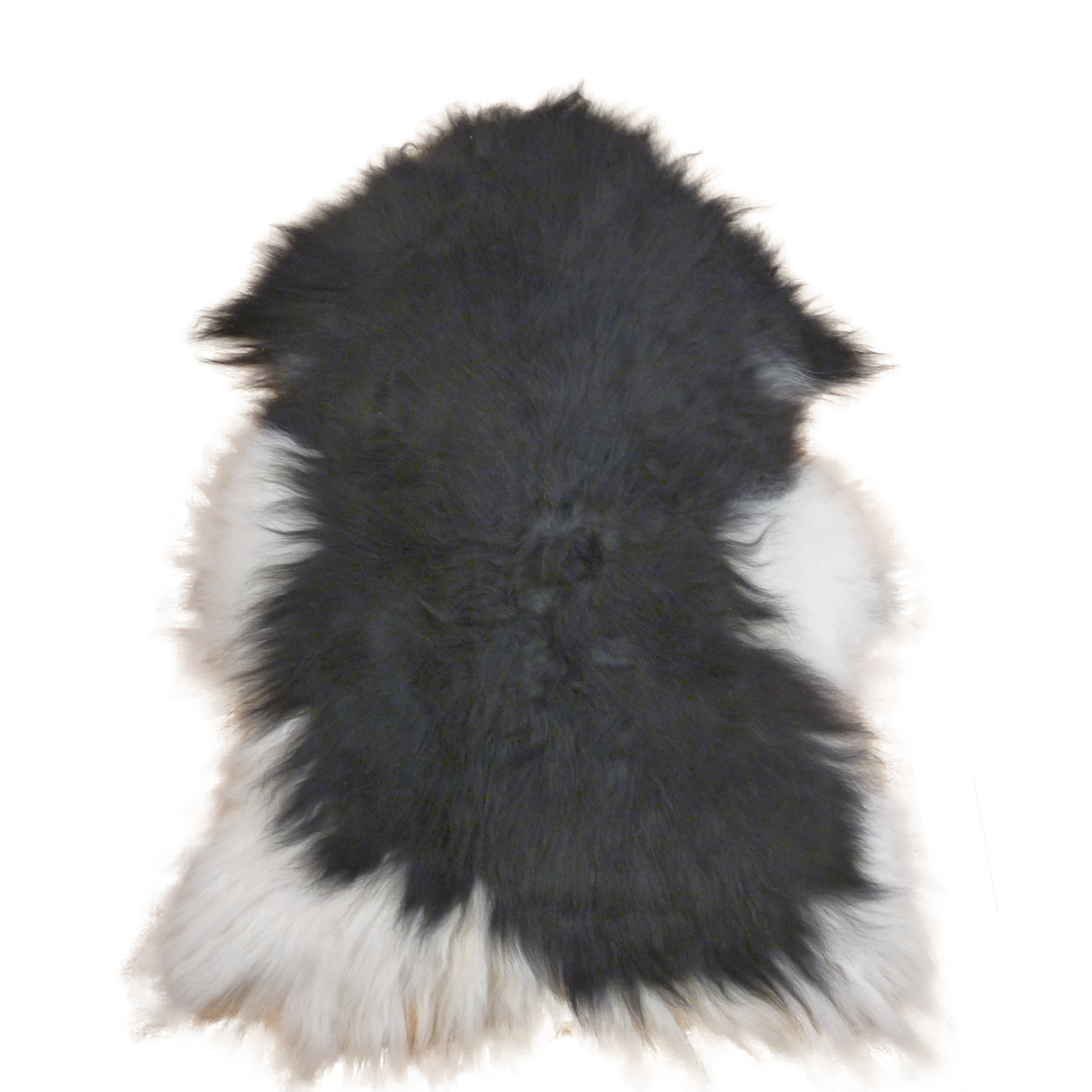 Exklusives Unikat Islandschaffell schwarz - weiß 140x90cm #14908