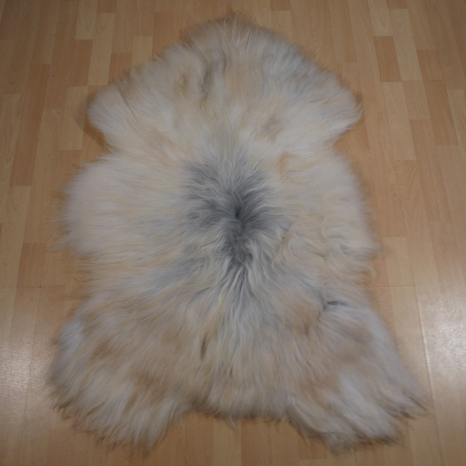 Exklusives Unikat Islandschaffell beige - grau 135x90cm #14909