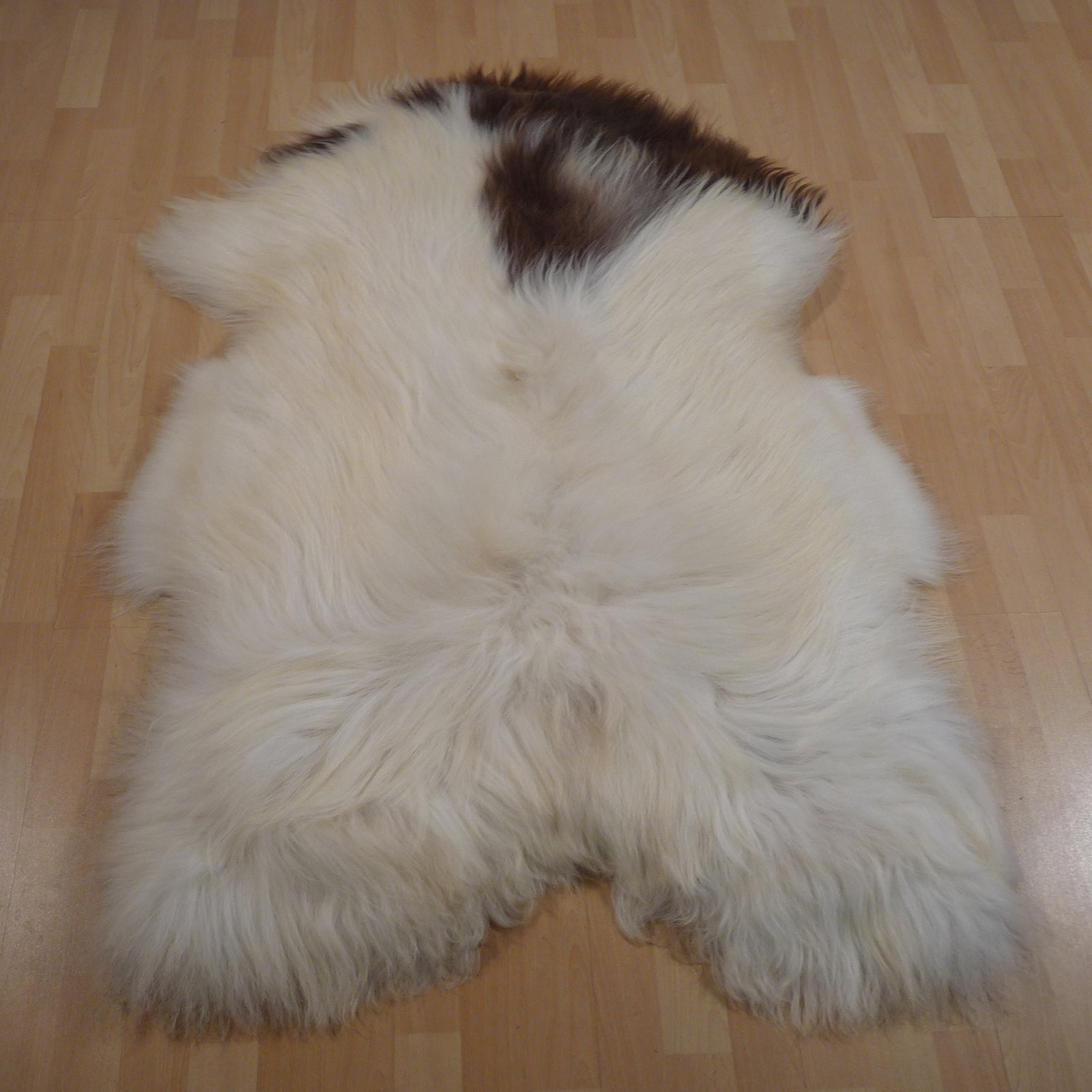 Exklusives Unikat Islandschaffell weiß - braun 140x95cm #15765