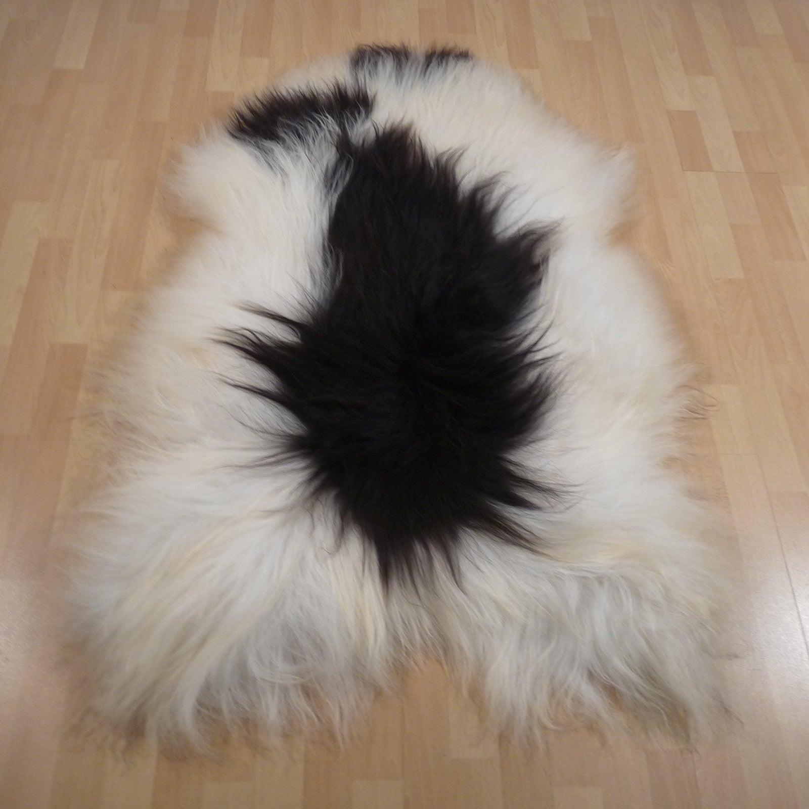 Exklusives Unikat Islandschaffell weiß - schwarz 140x95cm #15768