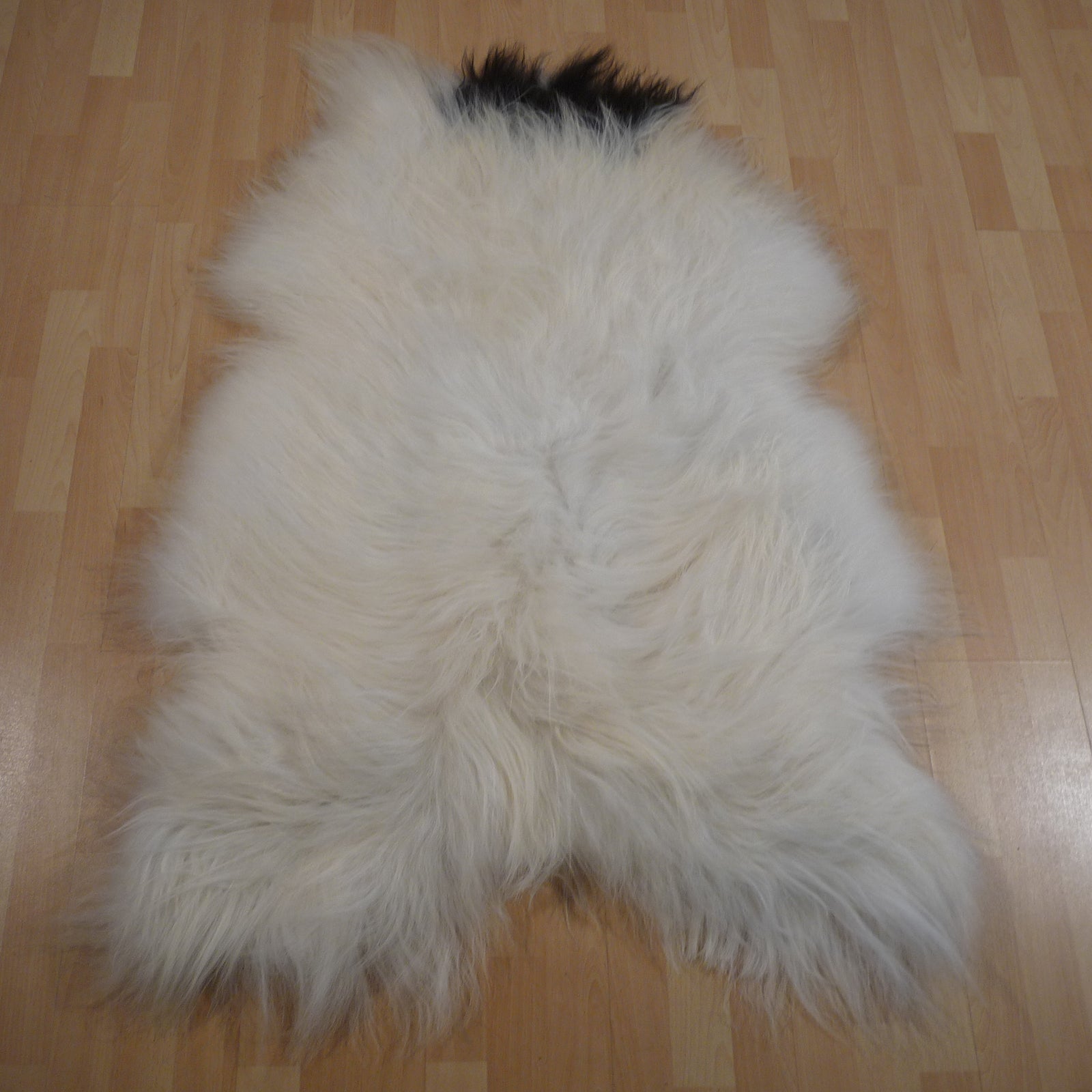 Exklusives Unikat Islandschaffell schwarz - weiß 135x90cm #15797