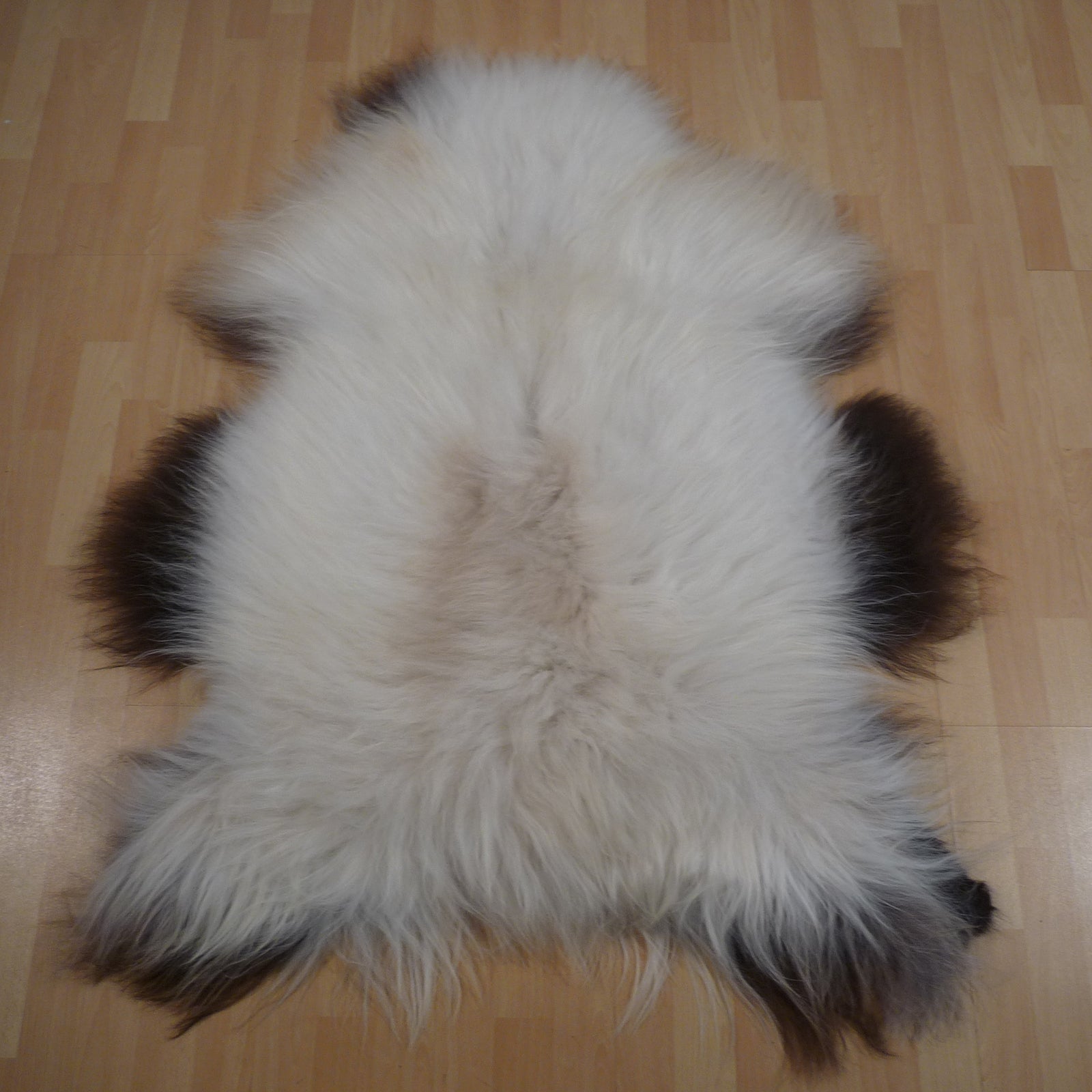 Exklusives Unikat Islandschaffell schwarz - weiß 135x100cm #15800