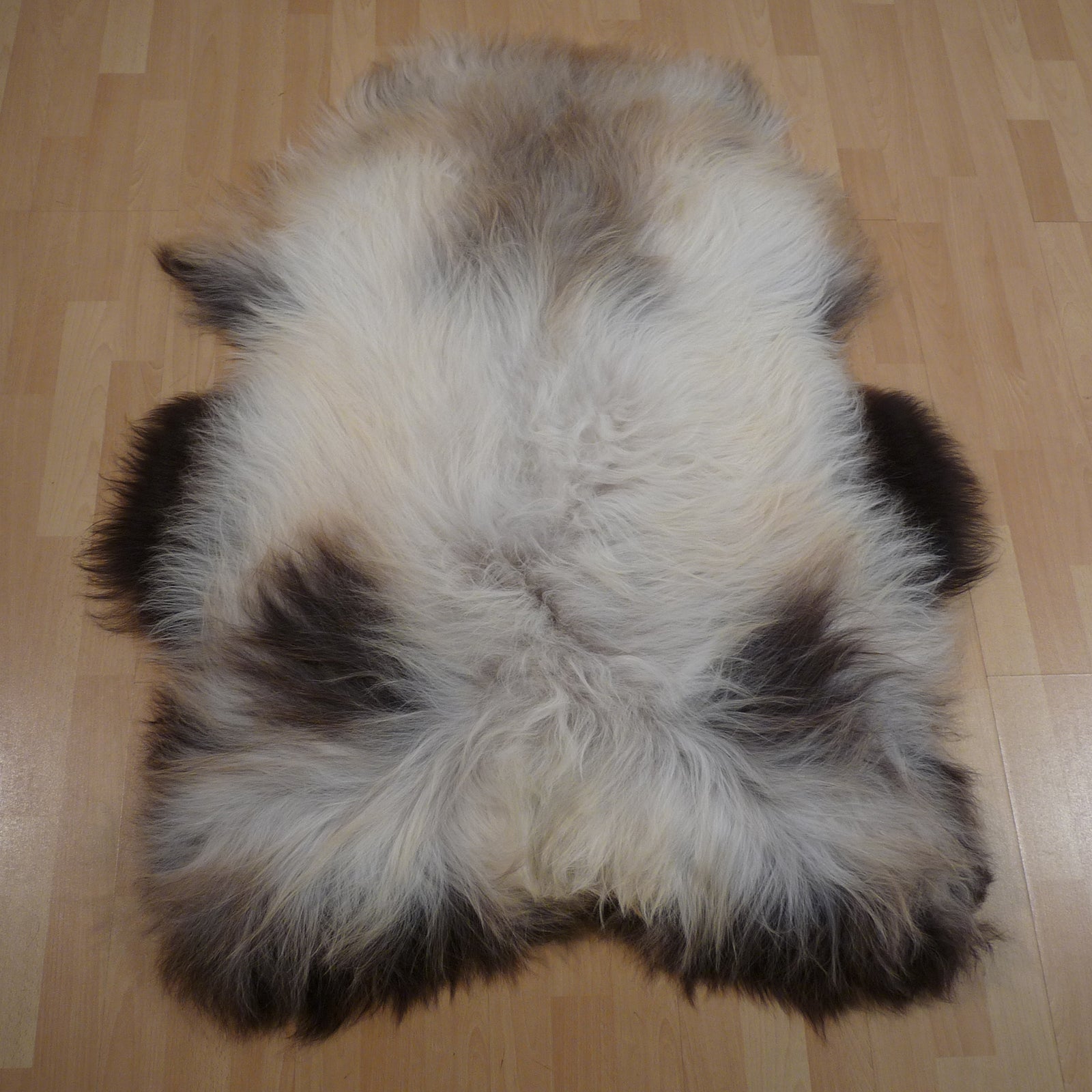 Exklusives Unikat Islandschaffell weiß - braun 130x95cm #15802