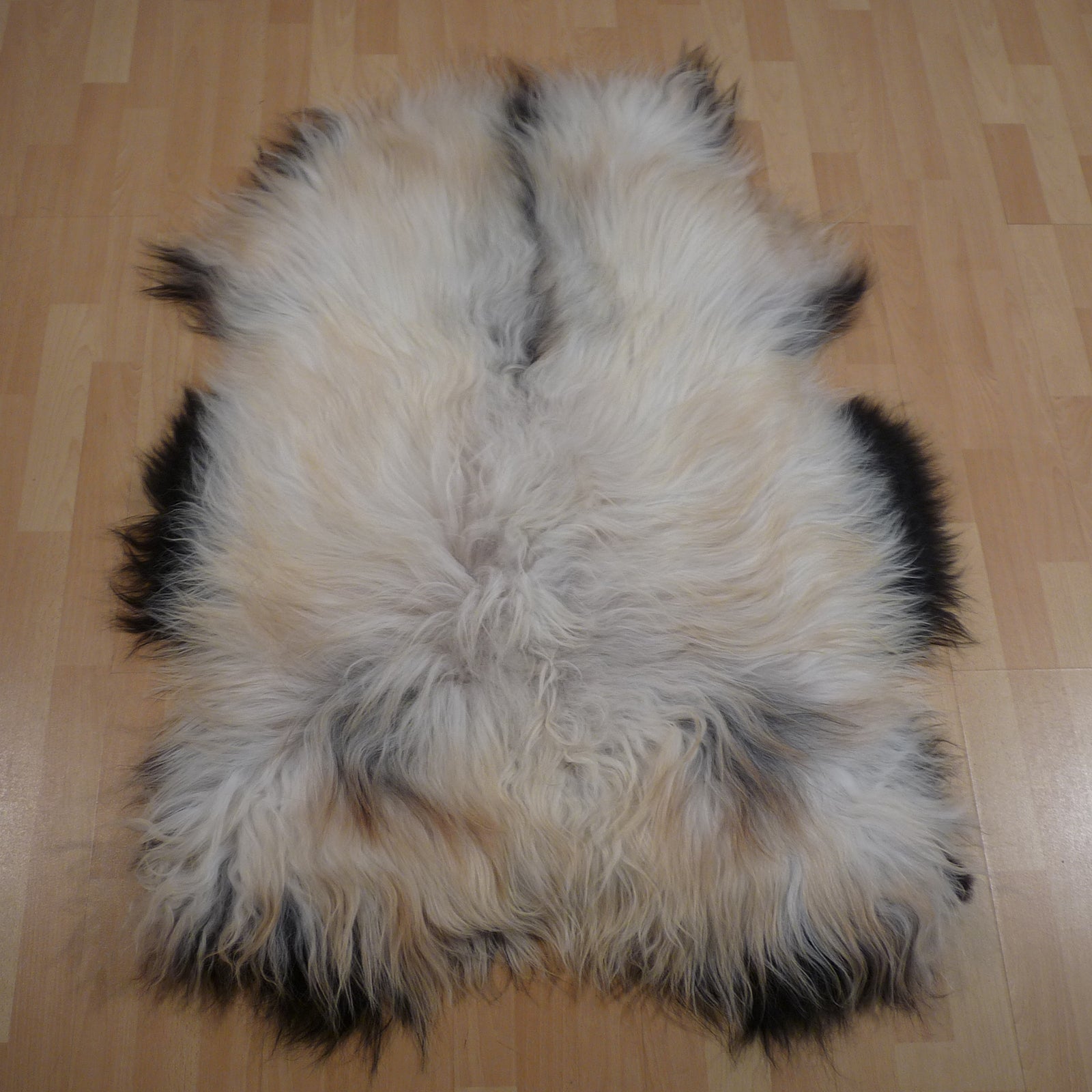 Exklusives Unikat Islandschaffell schwarz - beige 125x100cm #15817