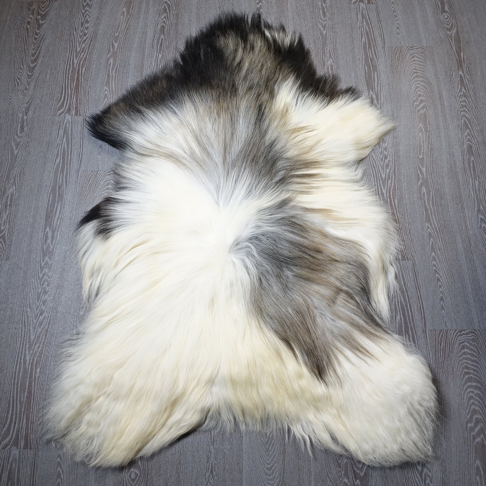 Exklusives Unikat Islandschaffell weiß - grau - schwarz 145x100cm #15922