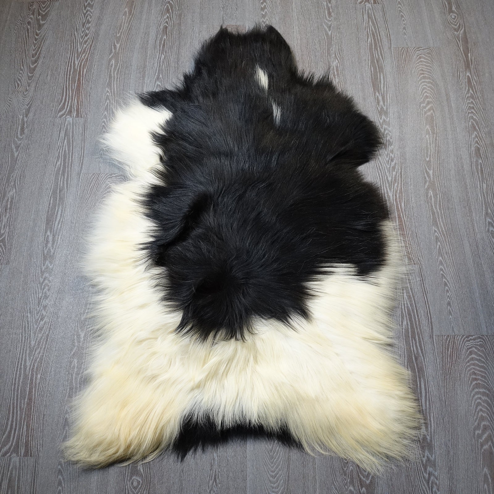 Exklusives Unikat Islandschaffell weiß - schwarz 140x90cm #15925