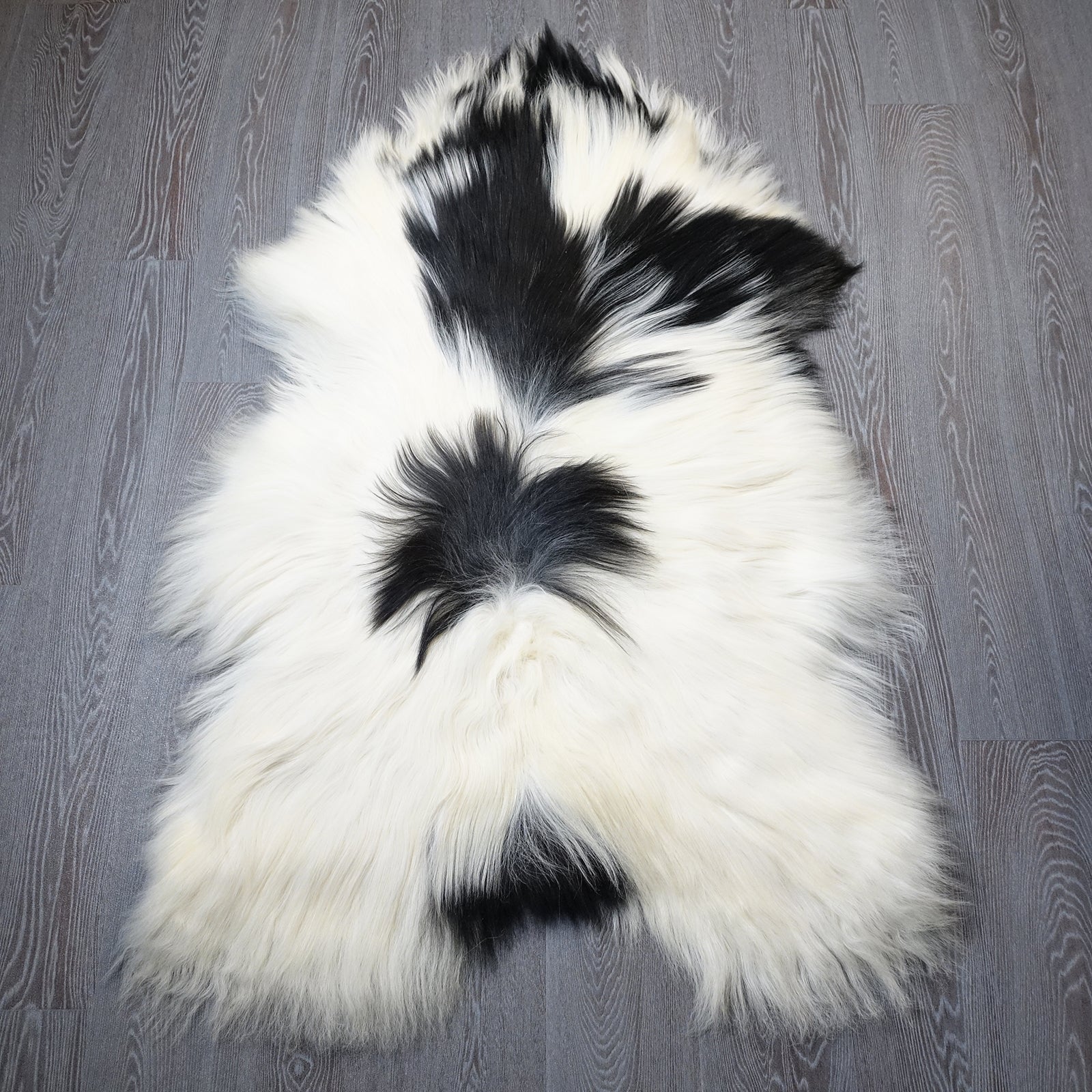 Exklusives Unikat Islandschaffell schwarz - weiß 145x90cm #15926