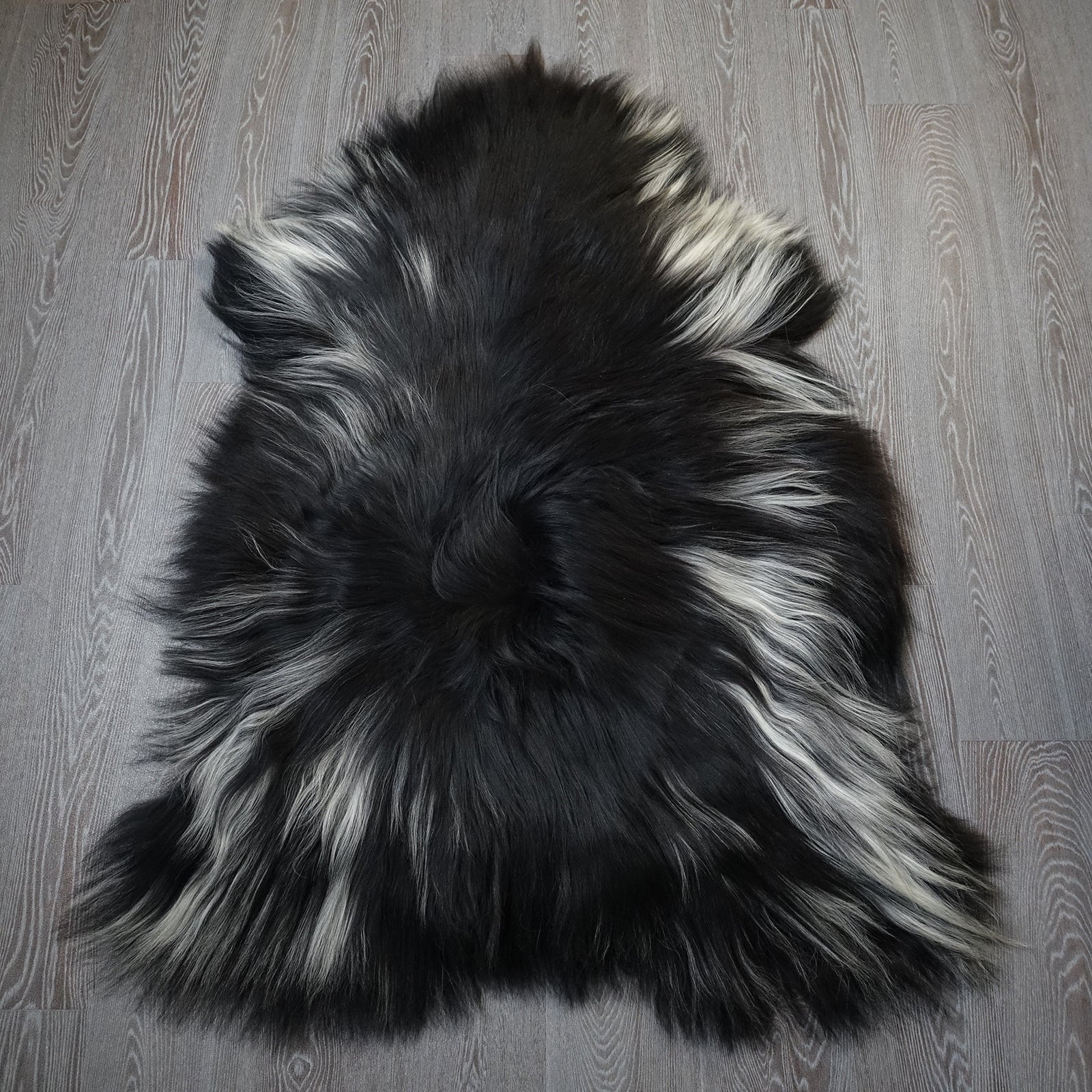 Exklusives Unikat Islandschaffell weiß - schwarz 135x100cm #15933