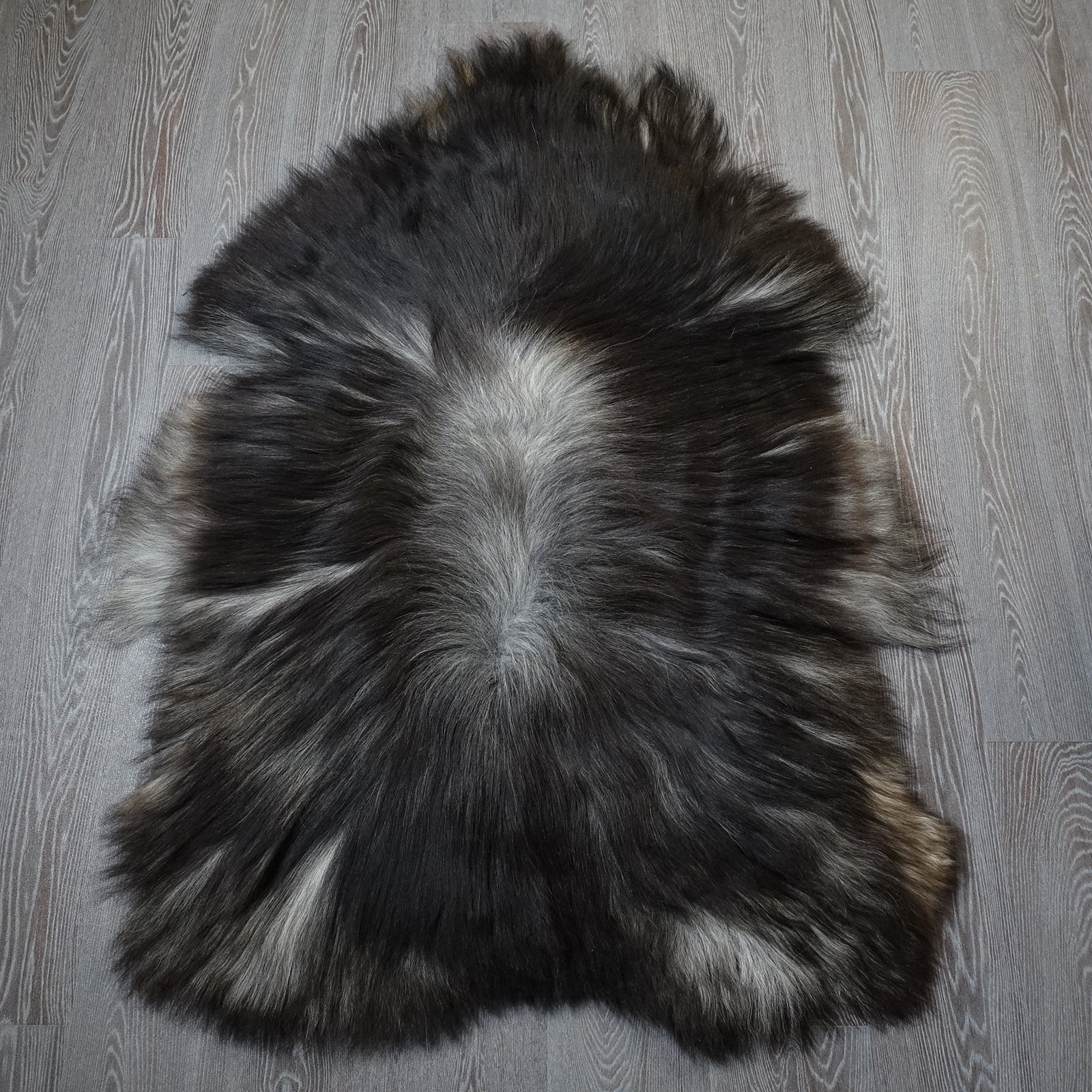 Exklusives Unikat Islandschaffell weiß - schwarz 135x95cm #15935