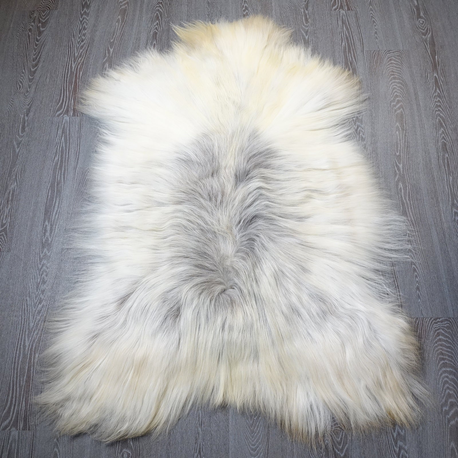 Exklusives Unikat Islandschaffell weiß - grau 145x95cm #15938